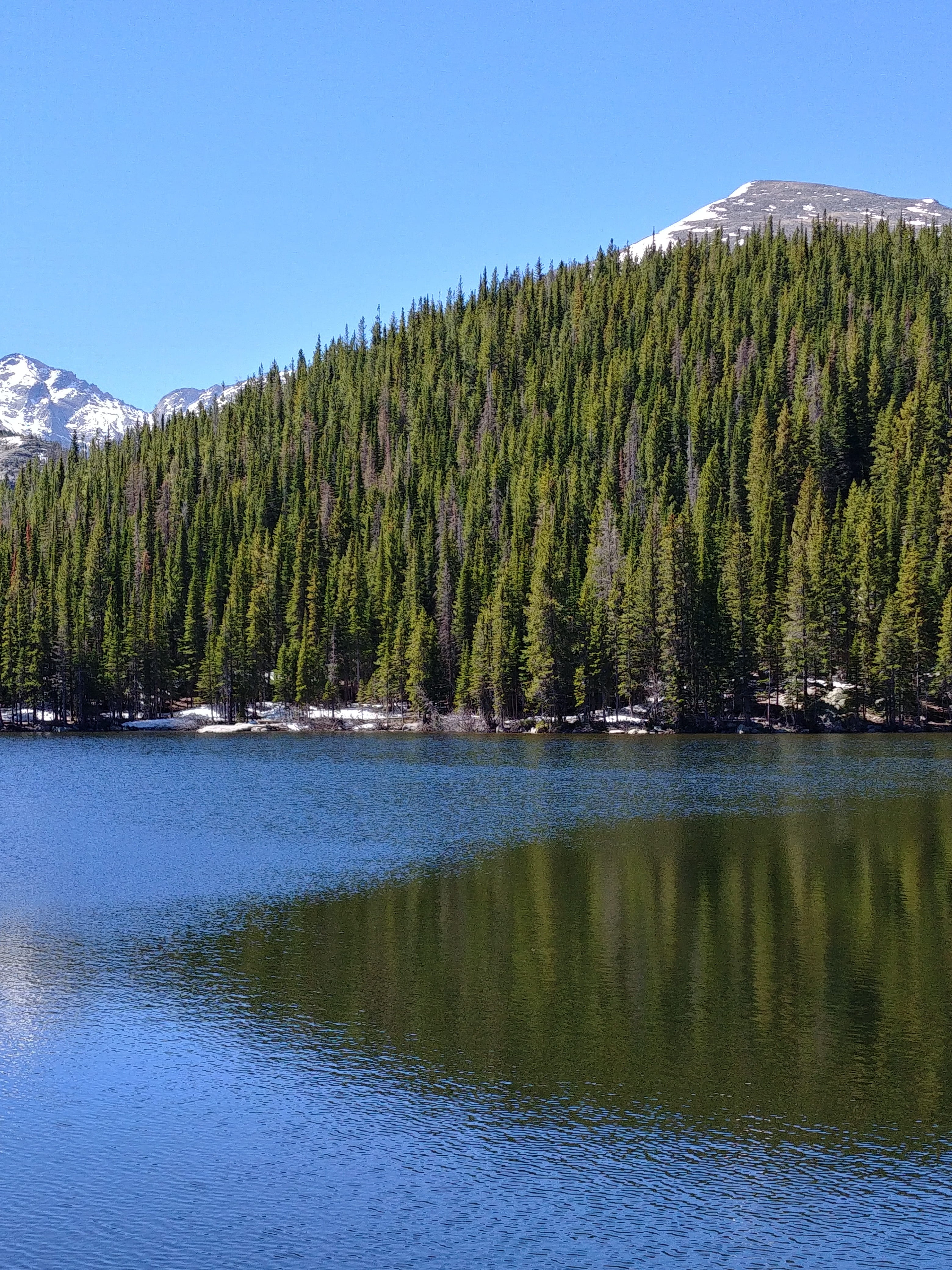 plant, sky, scenics - nature, nature, bear lake, mountains, waterfront, colorado, 4K, growth, spring, water, outdoors, woodland, tranquil scene, rocky mountains, Phone HD Wallpaper