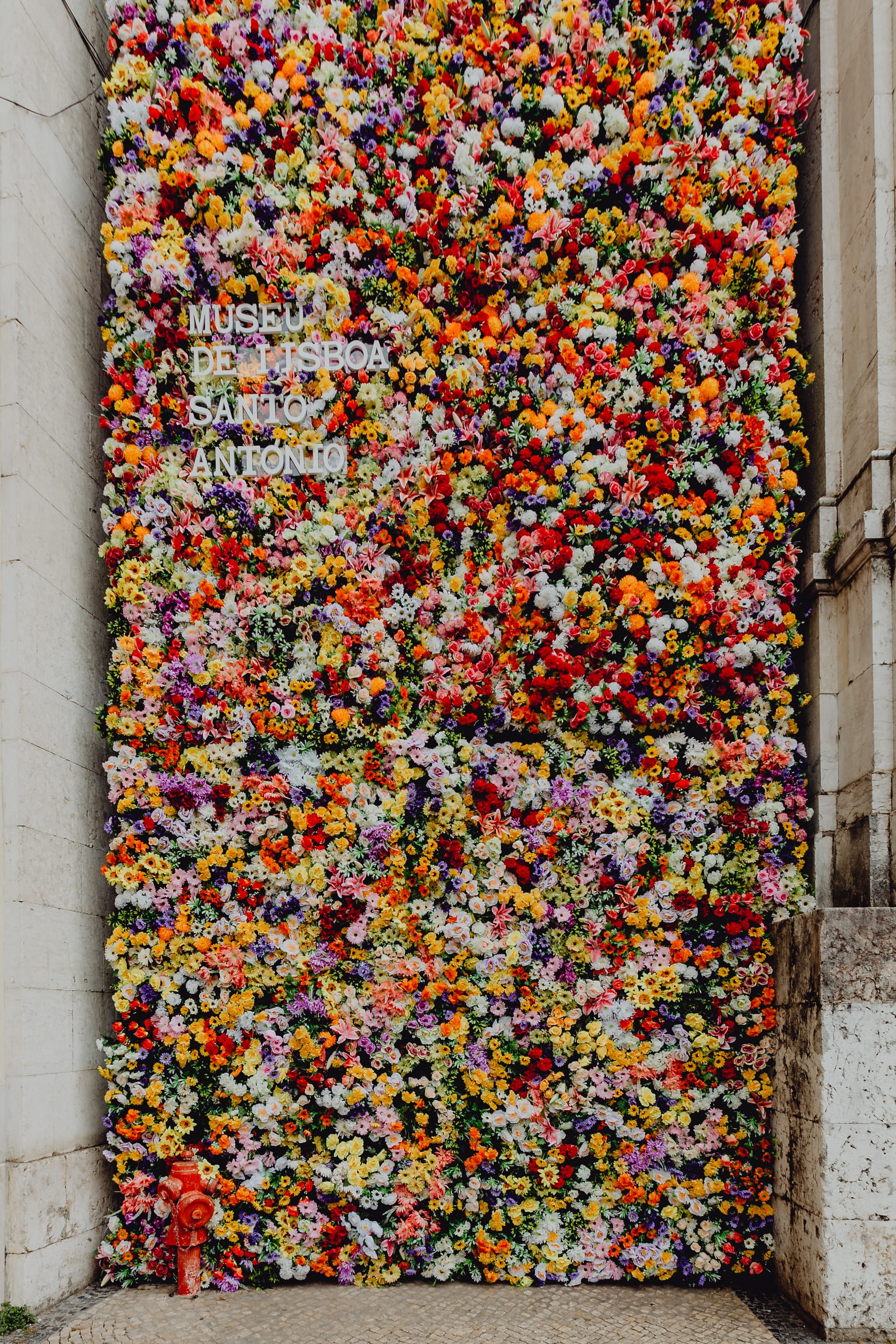 nature, outdoors, santo, no people, various, 2K, museum, colorful, wall, holiday, multi colored, wall - building feature, flowering plant, june, Saint Anthony, Phone HD Wallpaper