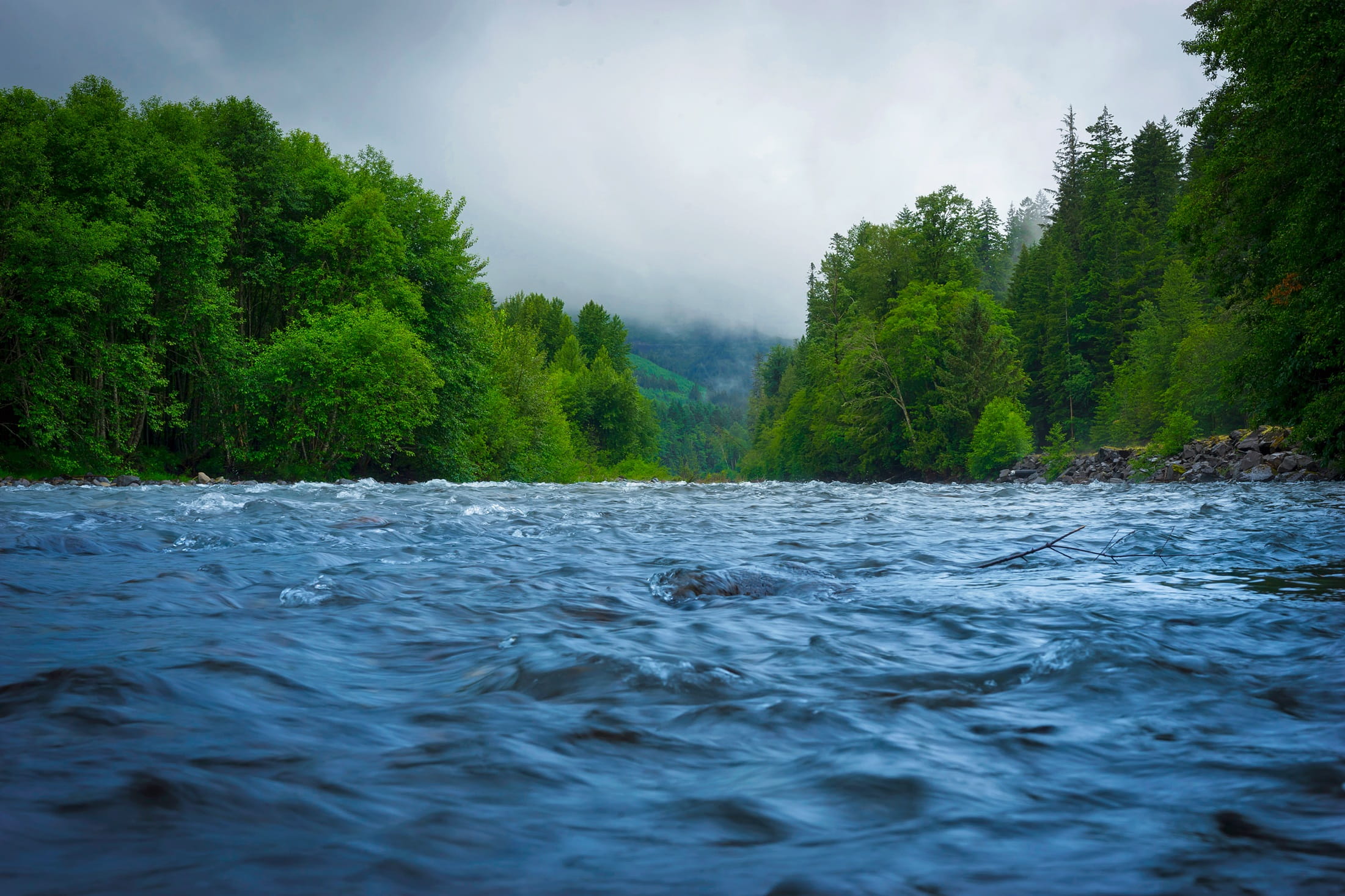 closeup, non-urban scene, plant, landscape, no people, river between, sky, green color, scenics - nature, colorado, water, country, rippled, body, spring river, HD Wallpaper