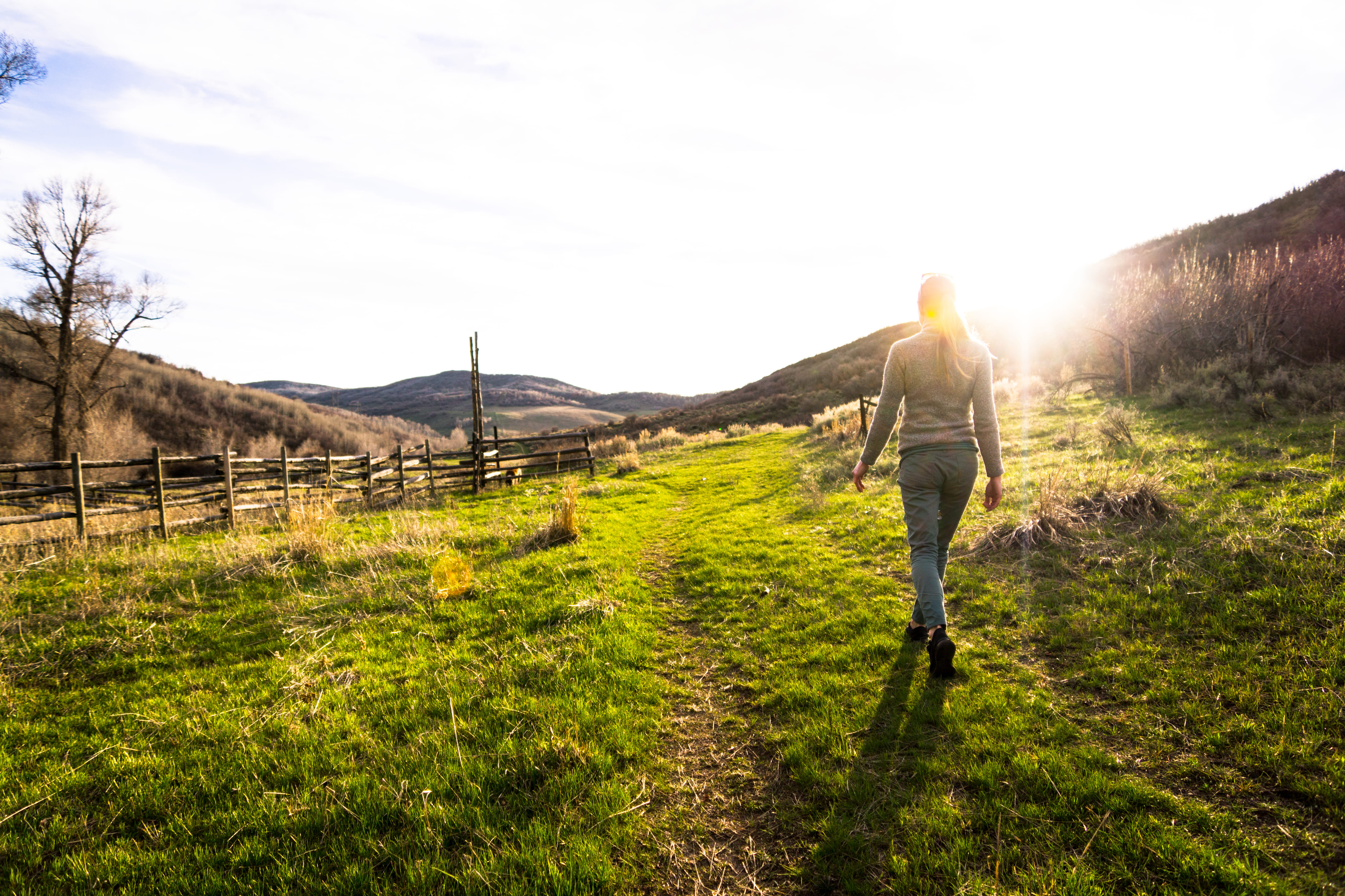 green, hike, west, mountains, non-urban scene, walking, full length, colorado, woman, girl, steamboat springs, lens flare, sun, hiker, grass, hiking, meadow, HD Wallpaper