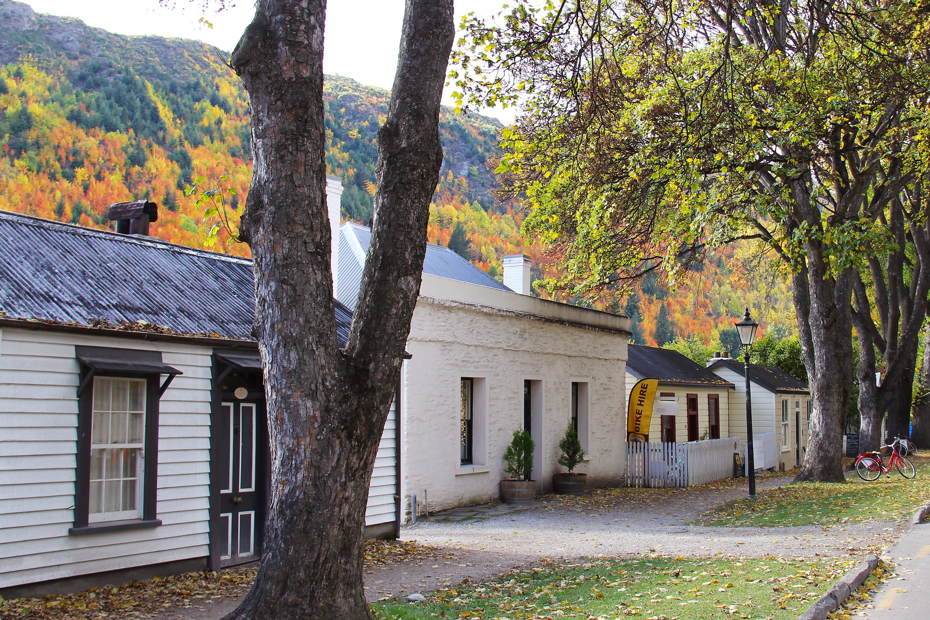 colorful, cold, fall, autumn, new zealand, beauty, colors, arrowtown, popular, autumn leaves, historic, 2K, beautiful, amazing, famous, HD Wallpaper