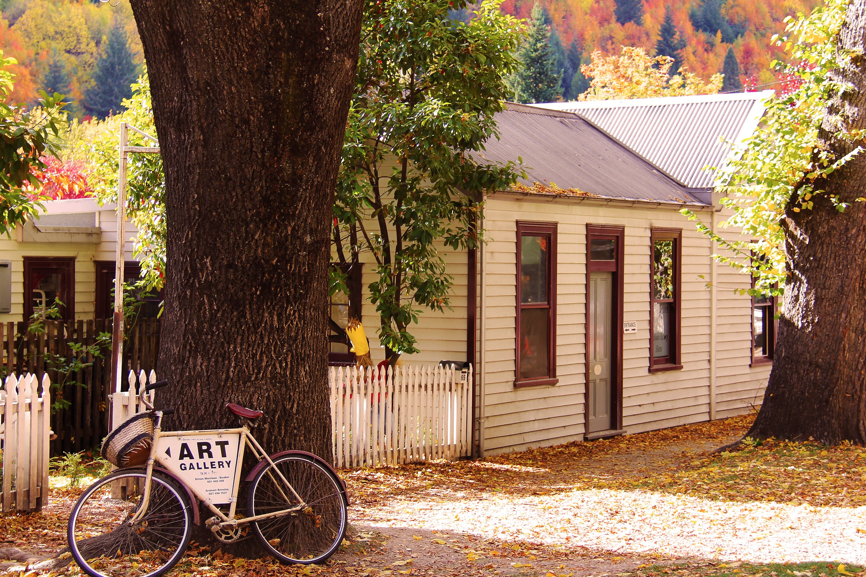 no people, tree, bicycle, day, trunk, cold, new zealand, change, 2K, fall, built structure, tree trunk, autumn leaves, nature, colors, autumn, beauty, HD Wallpaper