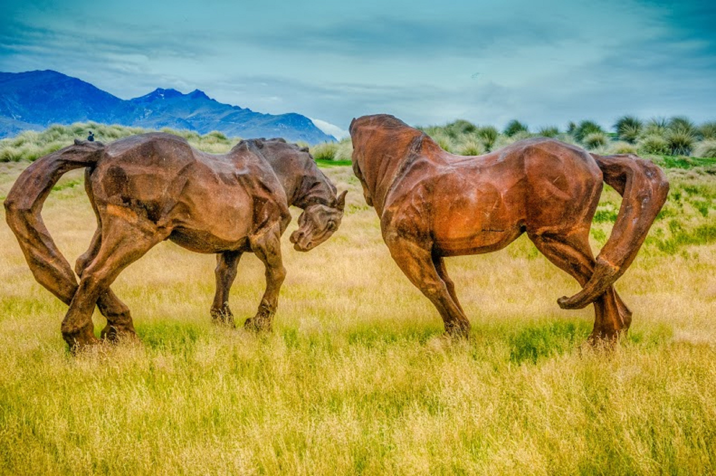 new zealand, beautiful, sky, animal, landscape, vertebrate, mammal, no people, domestic animals, livestock, day, plant, arrowtown, colorful, animal themes, HD Wallpaper