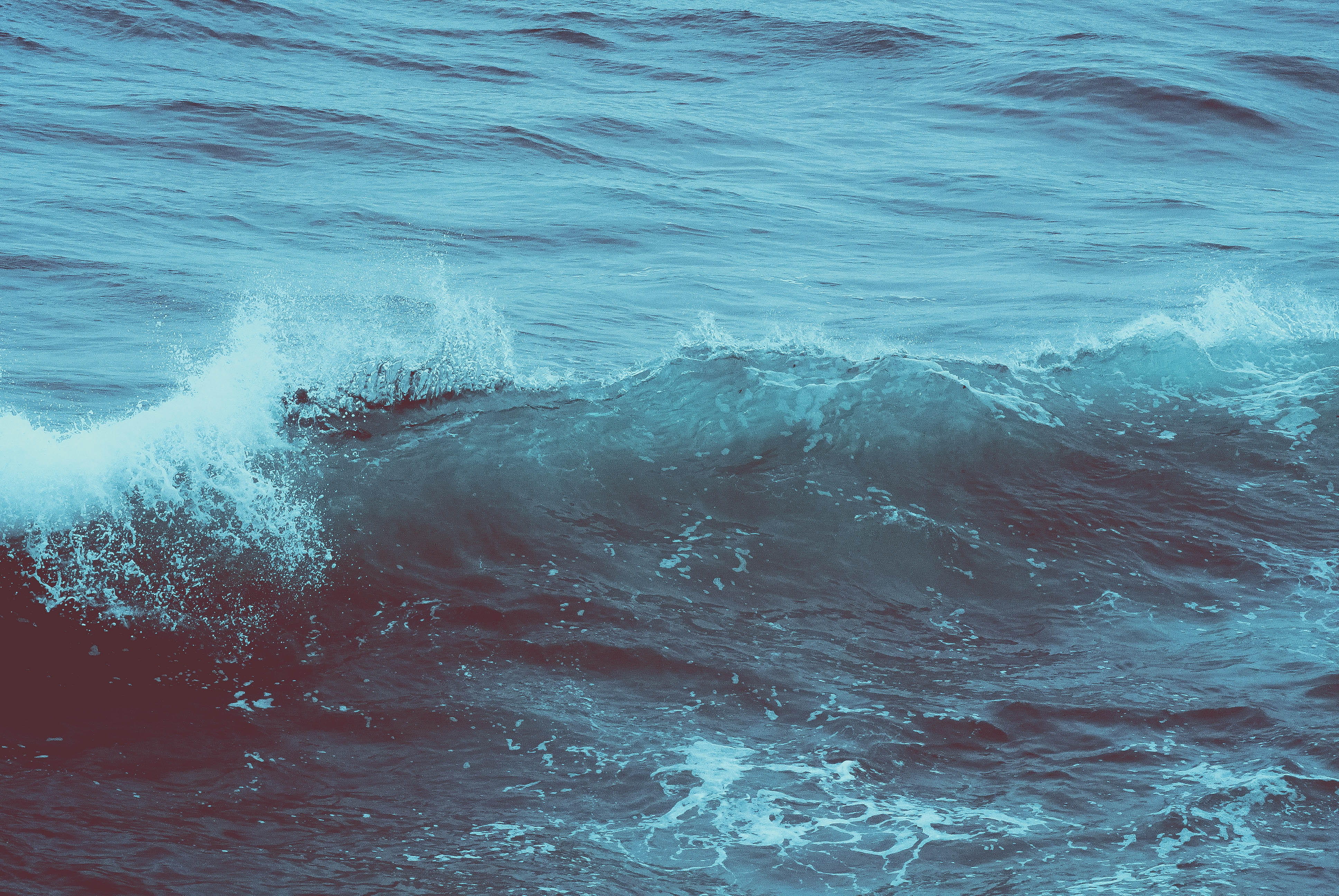 daytime, nz, splash, new zealand, power in nature, breaking, wave, zealand, nature, day, no people, power, full frame, dunedin, sea, splashing, motion, HD Wallpaper
