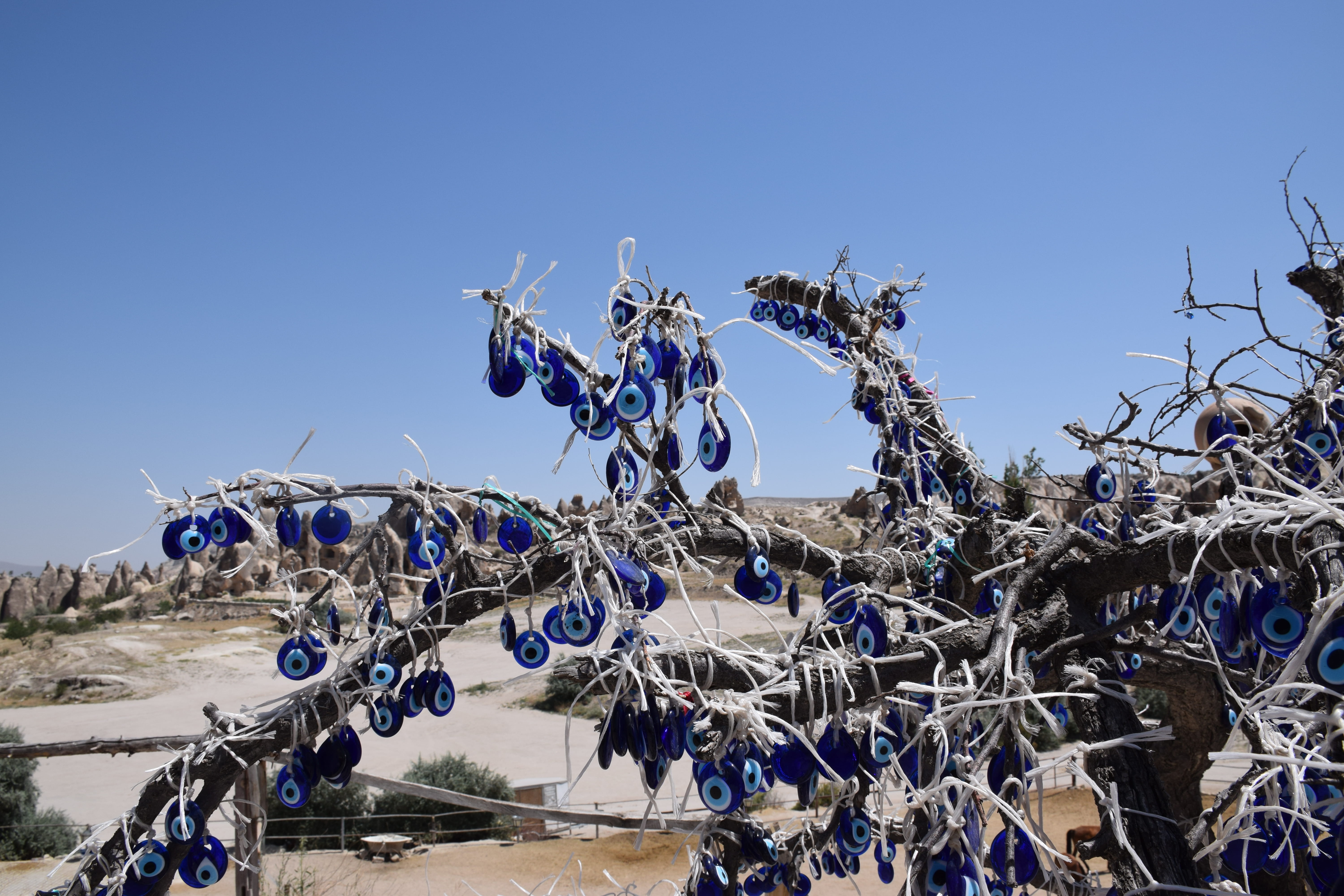 sky, wish tree, protection, fishing industry, landscape, nature, winter, plant, evil eye, environment, no people, sunlight, cappadocia, 5K, land, day, HD Wallpaper