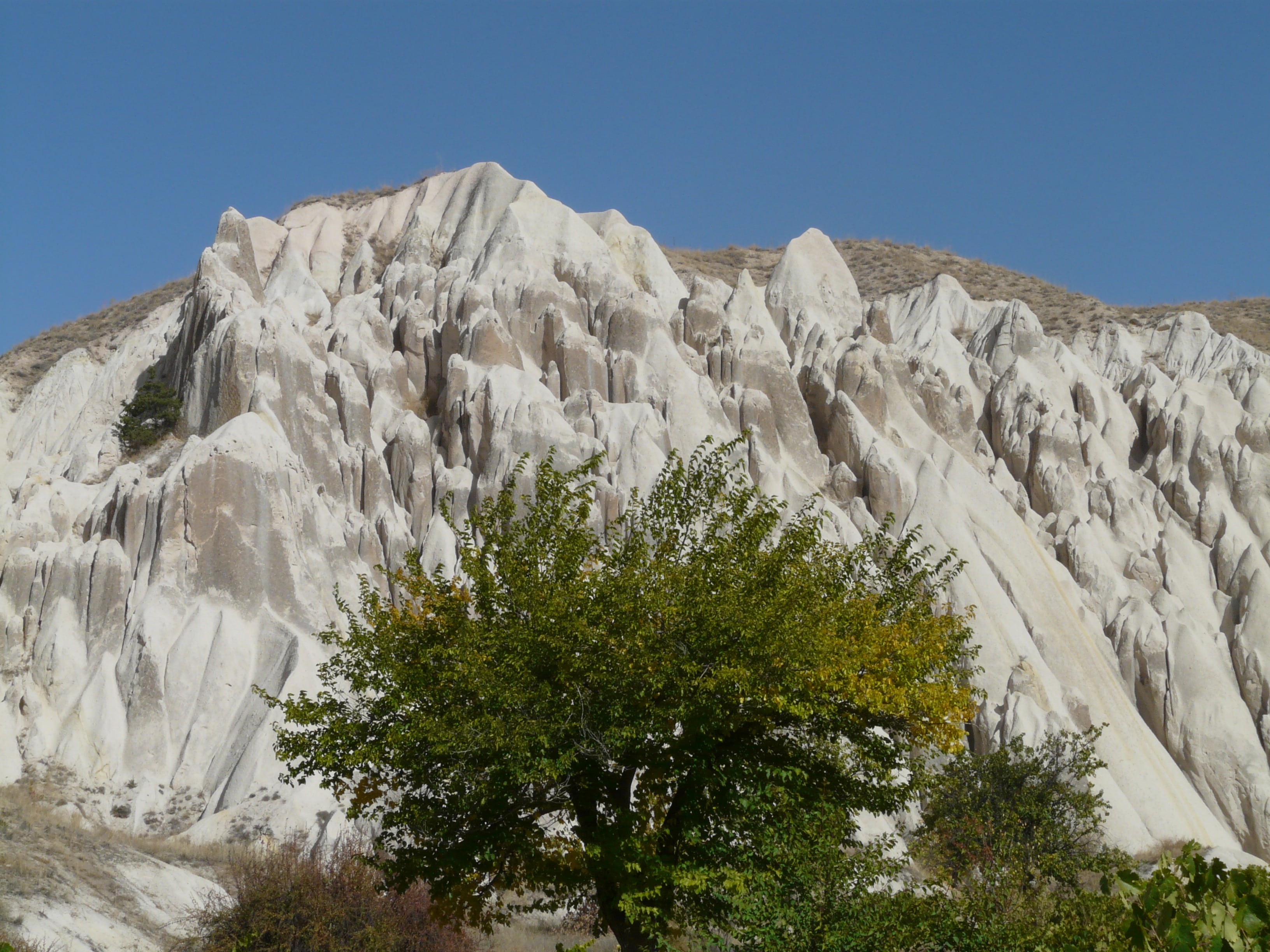 low angle view, rock - object, day, nature, plant, fairy towers, solid, scenics - nature, mountain, geology, formation, rock, eroded, non-urban scene, tranquility, HD Wallpaper