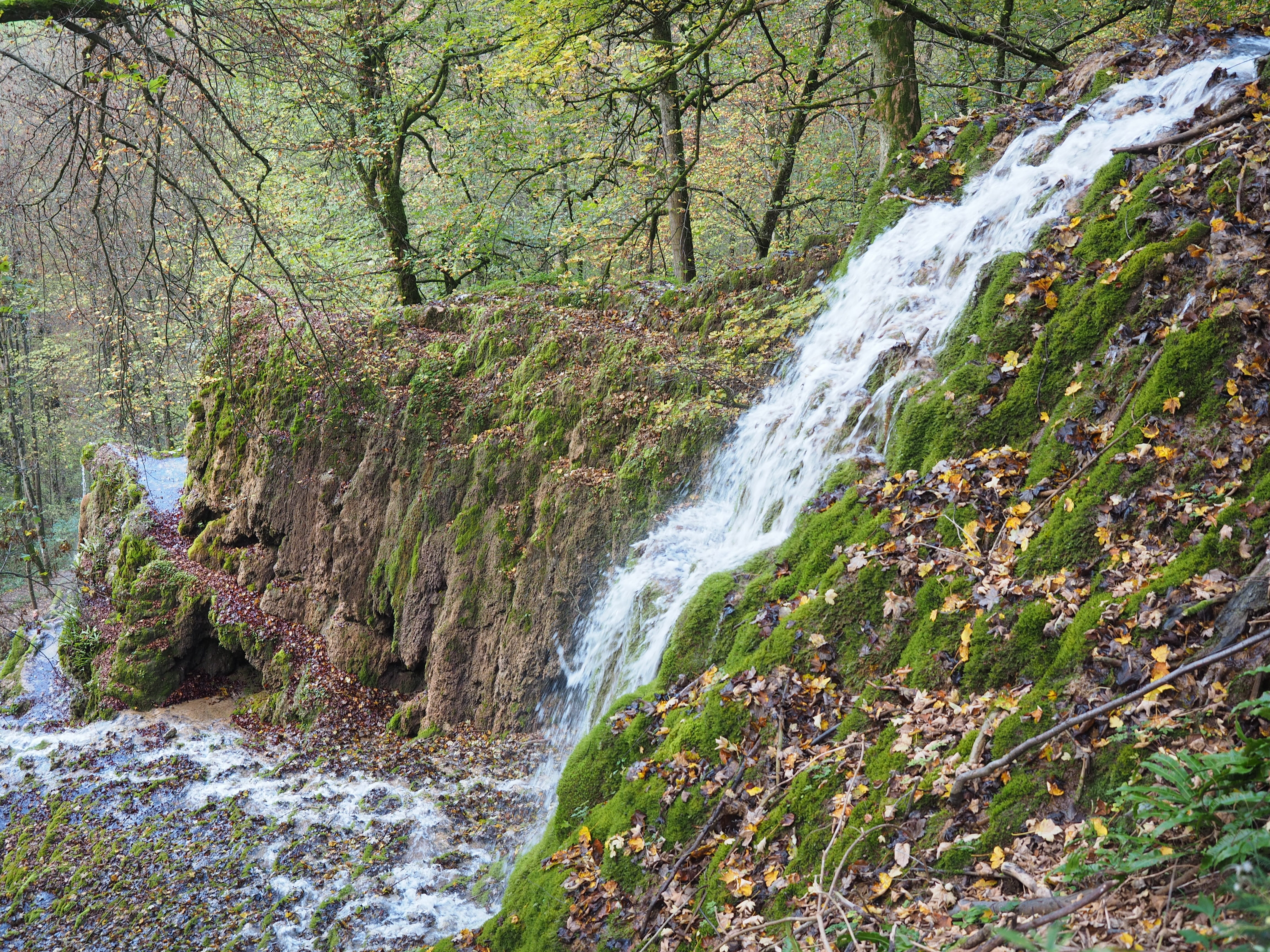 plant, power in nature, forest, solid, rock, flowing Water, land, Wasserfall, tree, freshness, woodland, green Color, day, sinterkalkterrasse, scenics - nature, HD Wallpaper