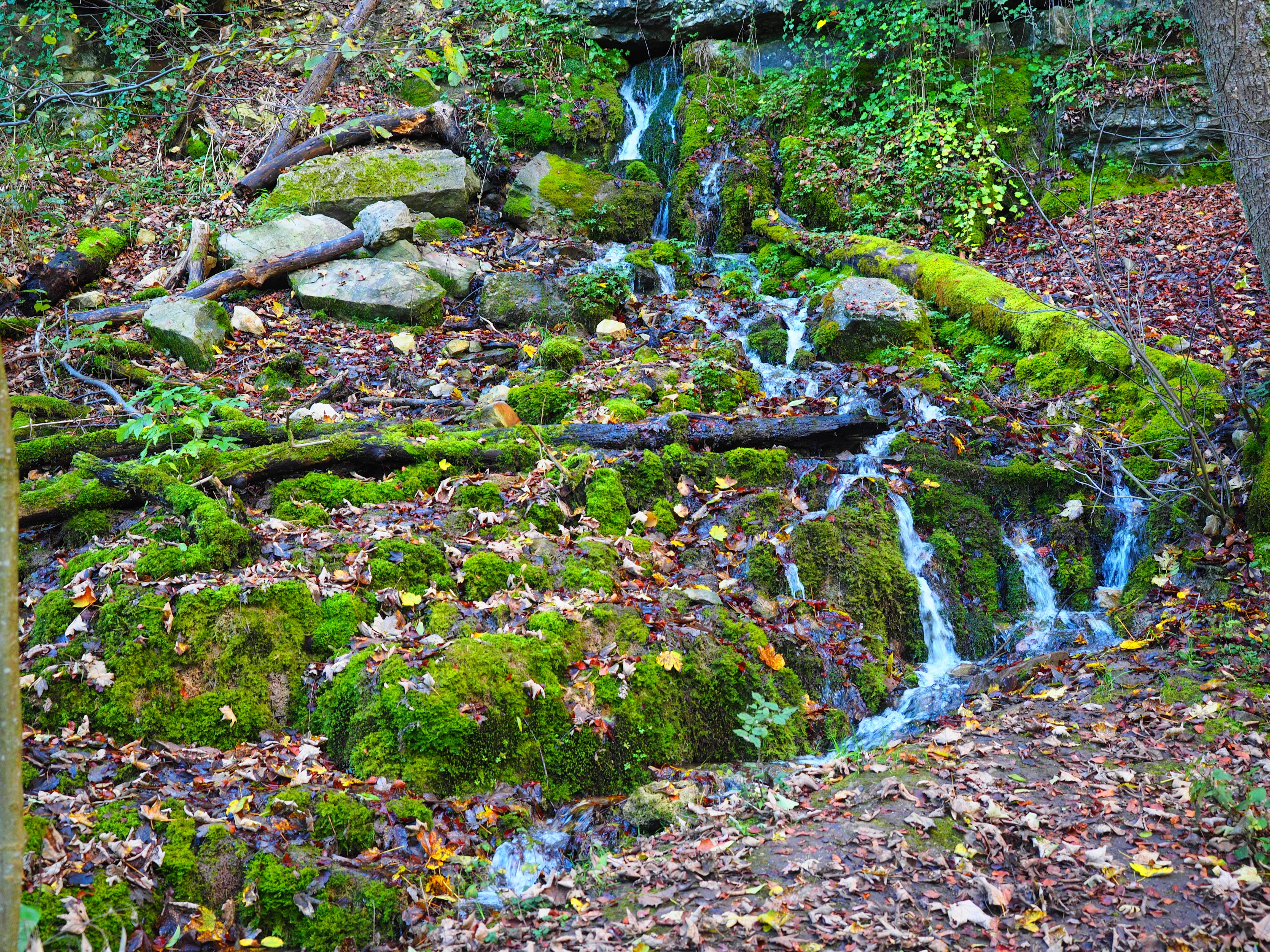 tranquility, nature, day, moss, rock, plant, outdoors, kalktuffberg, land, solid, Source, forest, rock - object, 4K, beauty in nature, green color, flowing water, HD Wallpaper