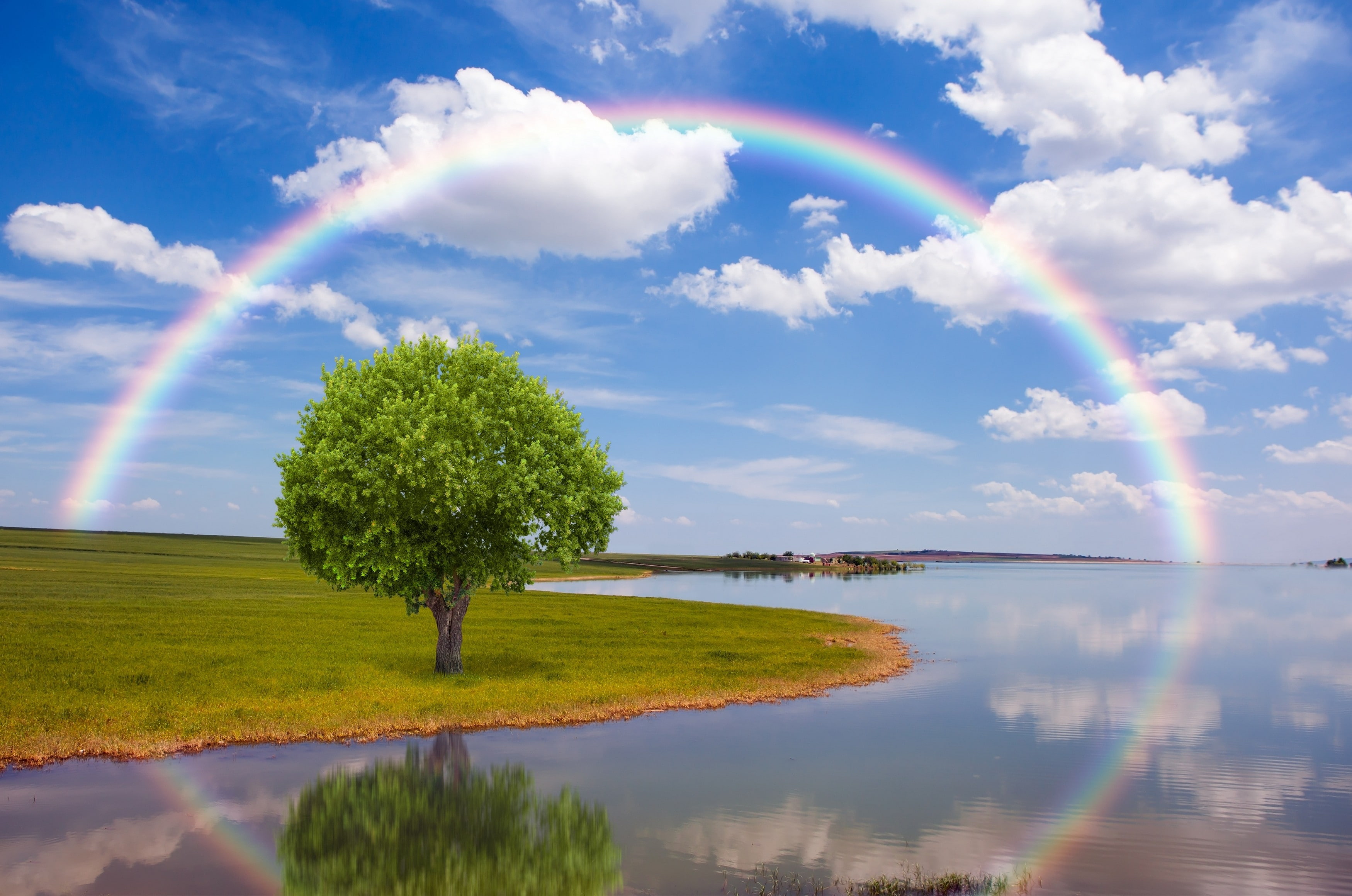 leaf, nature, 2K, rainbow, rain, hd, green, tree, field, HD Wallpaper