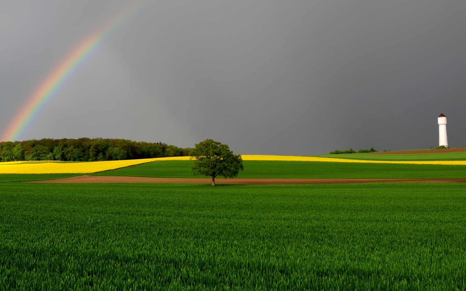 landscape, scenery, rainbow, 1080P, nature, green, fields, HD Wallpaper