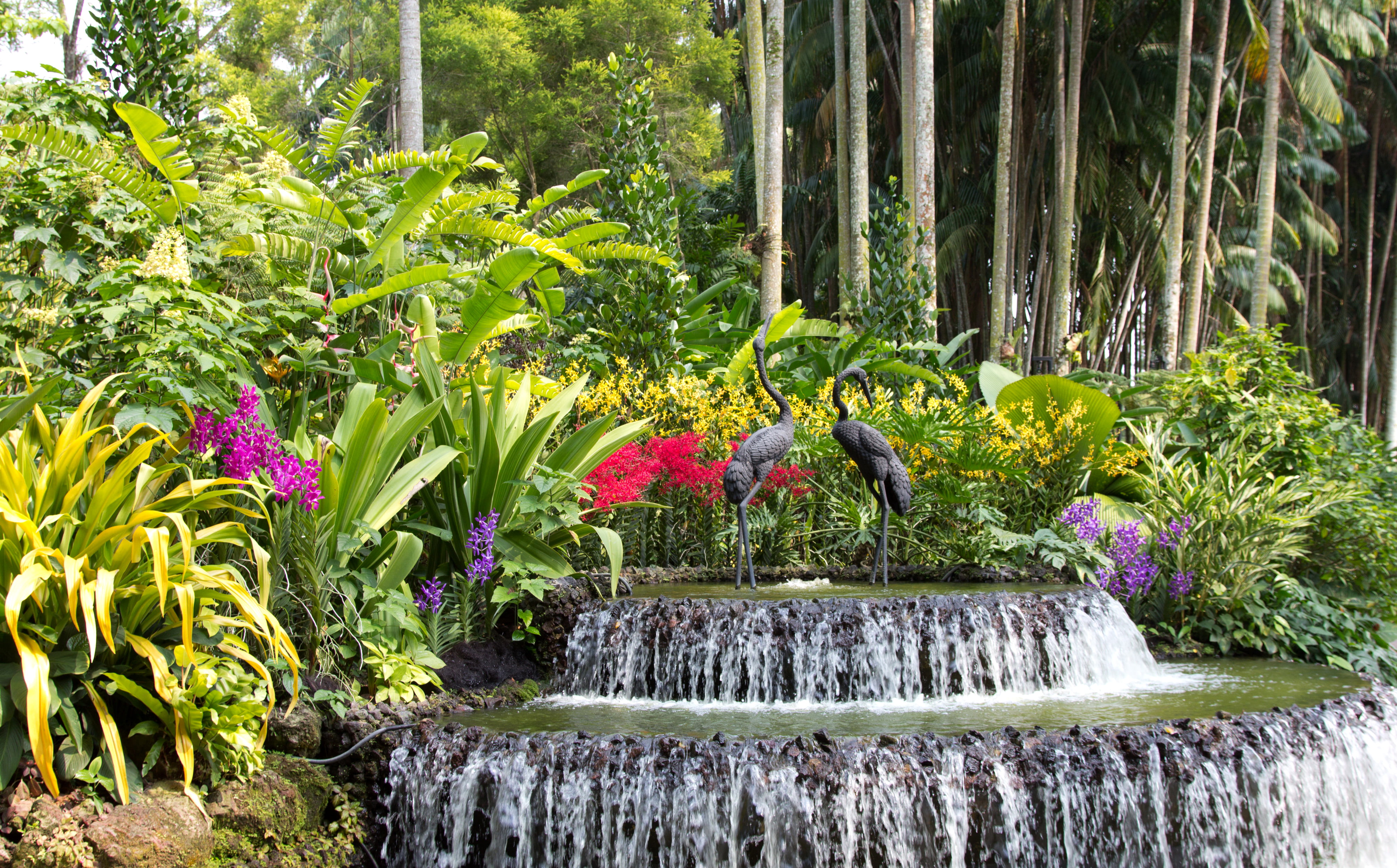 trees, the bushes, flowing water, flowerbed, day, scenics - nature, nature, flowering plant, forest, flowers, garden, birds, outdoors, sculpture, green color, HD Wallpaper