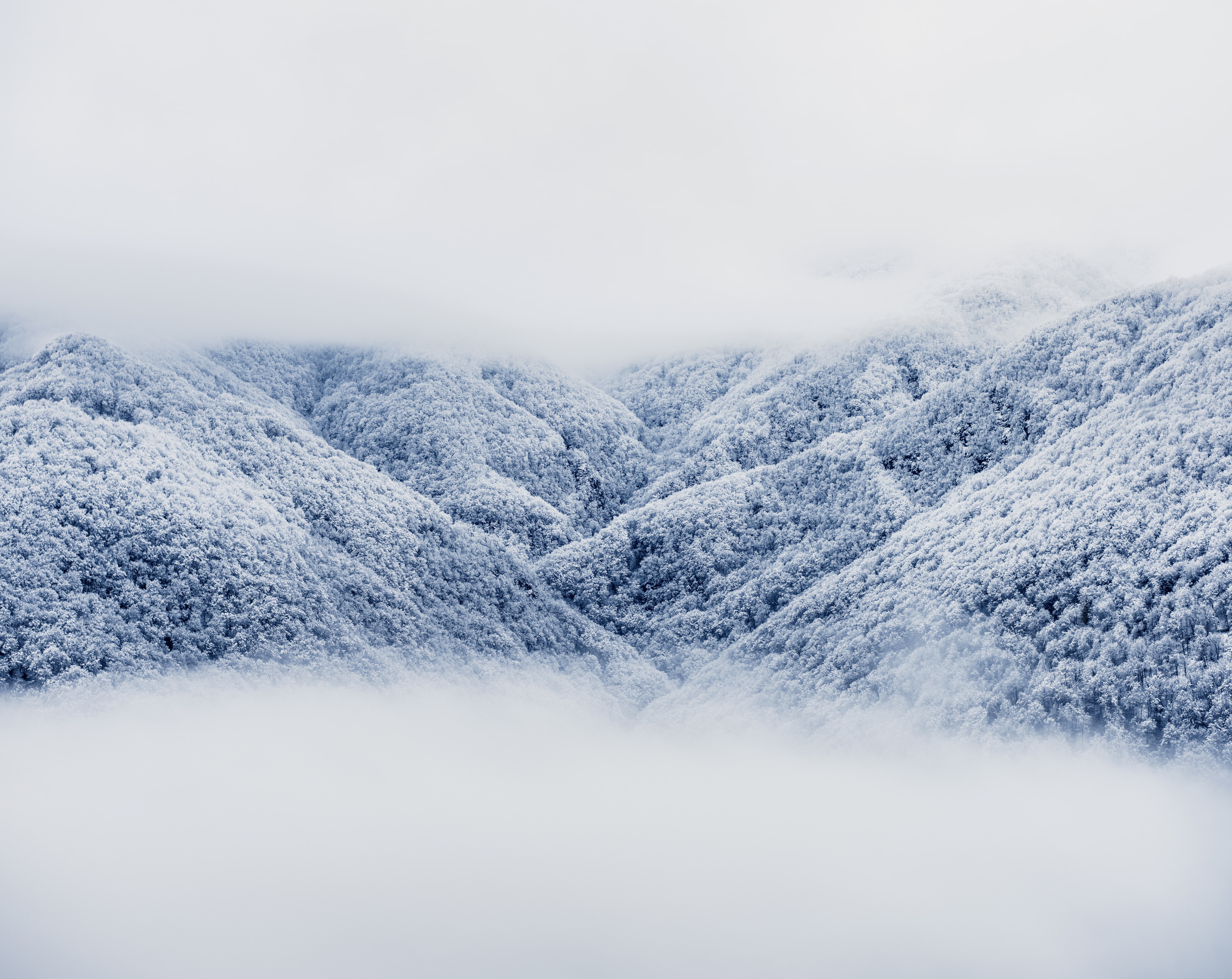 Frozen, hayk, Scenic, 5K, Clouds, Nature, fog, White, Scenery, vachagan, Snow, Mountains, Woods, Picturesque, Landscape, Photography, Season, Spectacular, HD Wallpaper