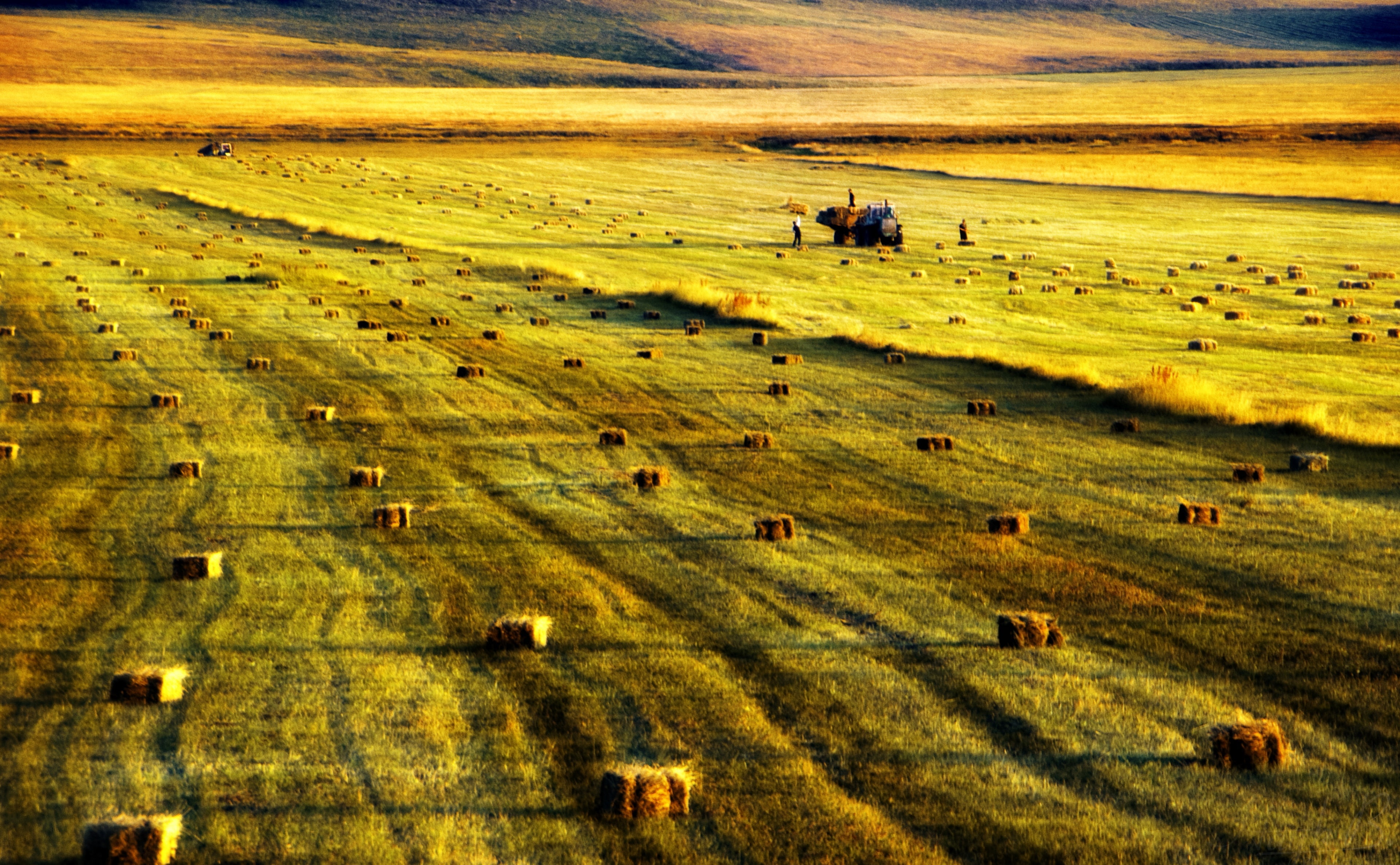 non-urban scene, armenia, scenics - nature, tranquil scene, 4K, agriculture, environment, sunlight, grass, tranquility, beauty in nature, Straw, outdoors, HD Wallpaper