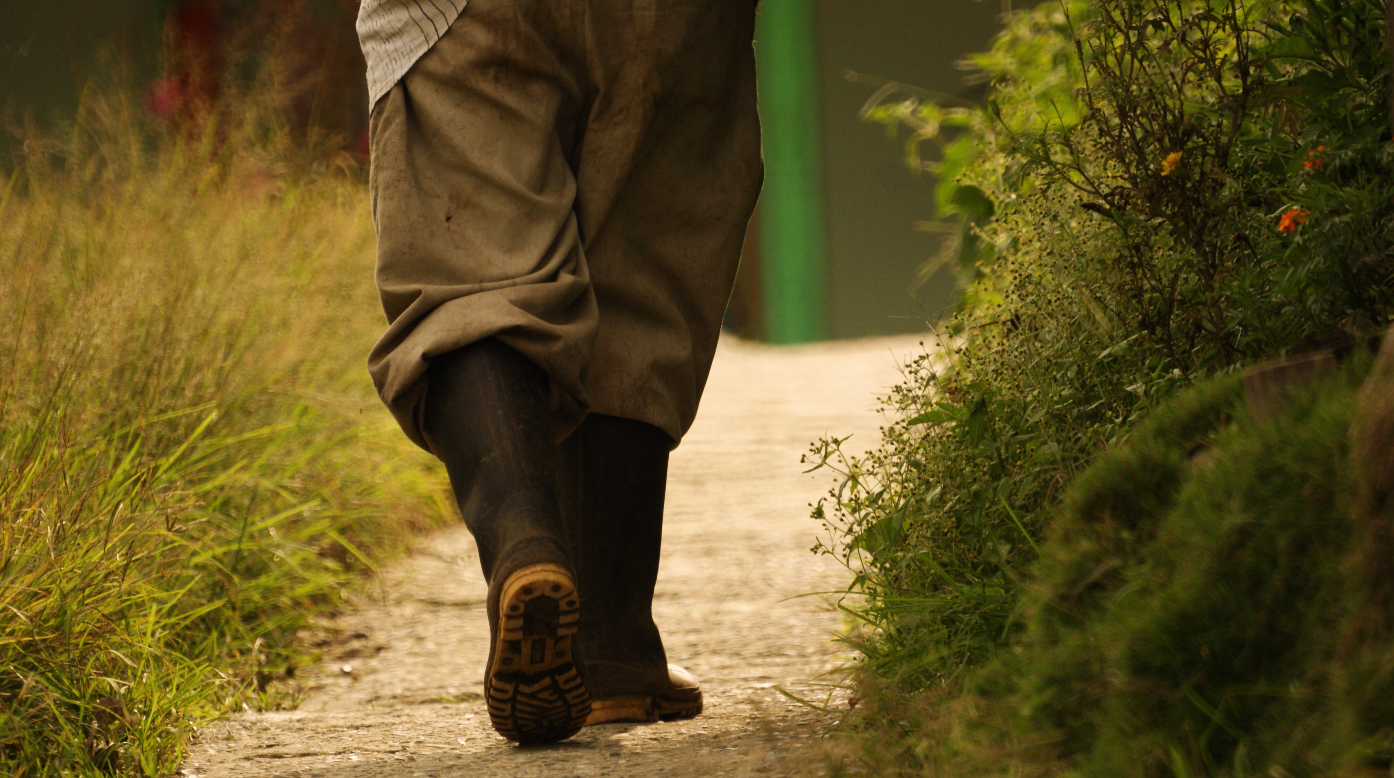 peasant, shoe, person, walking, human body part, nature, work boots, adult, body part, human limb, armenia, clothing, low section, day, plant, outdoors, HD Wallpaper