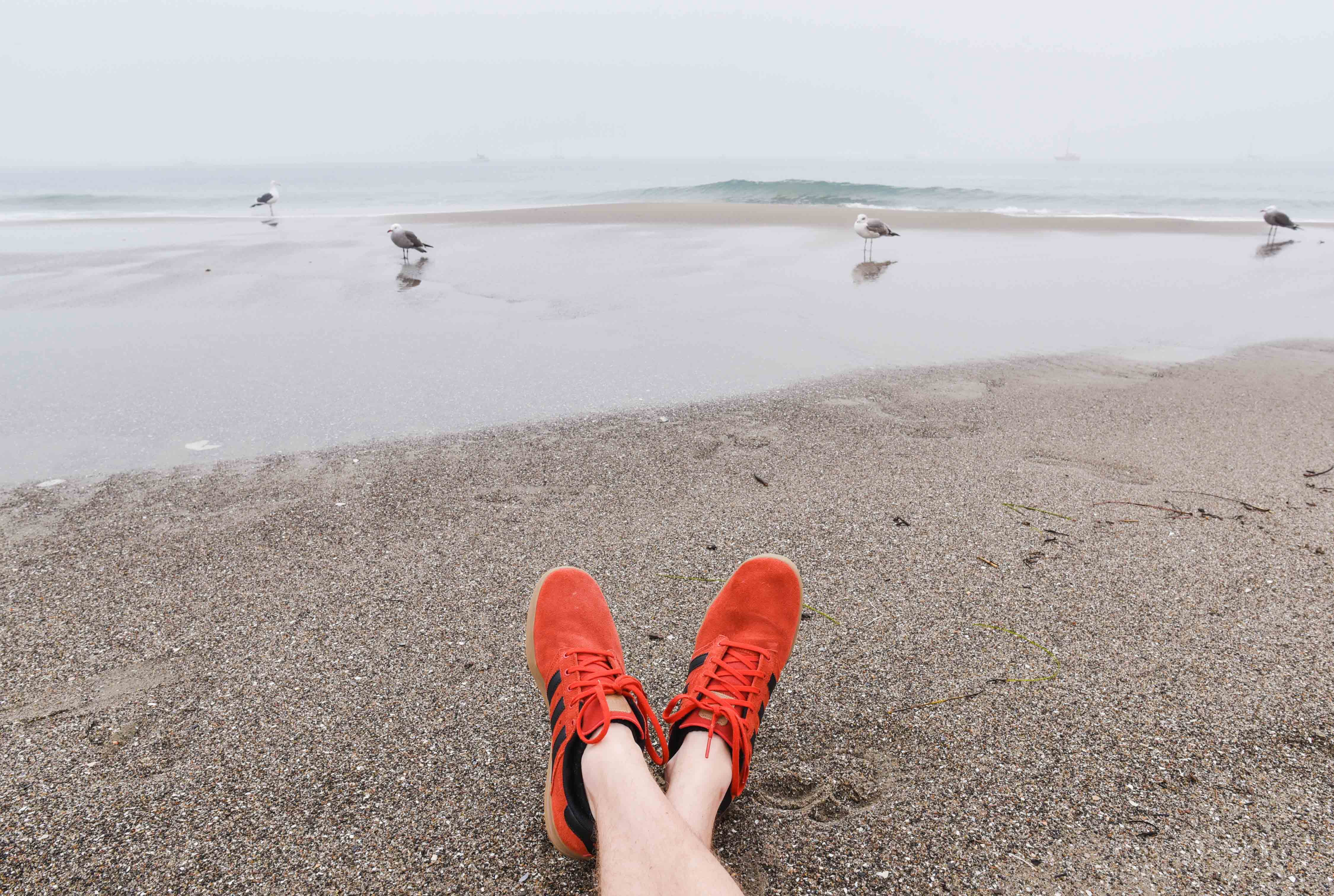 person, red, body part, 4K, orange, pigeons, birds, real people, lifestyles, shore, nature, wearing, human body part, ocean, personal perspective, day, HD Wallpaper