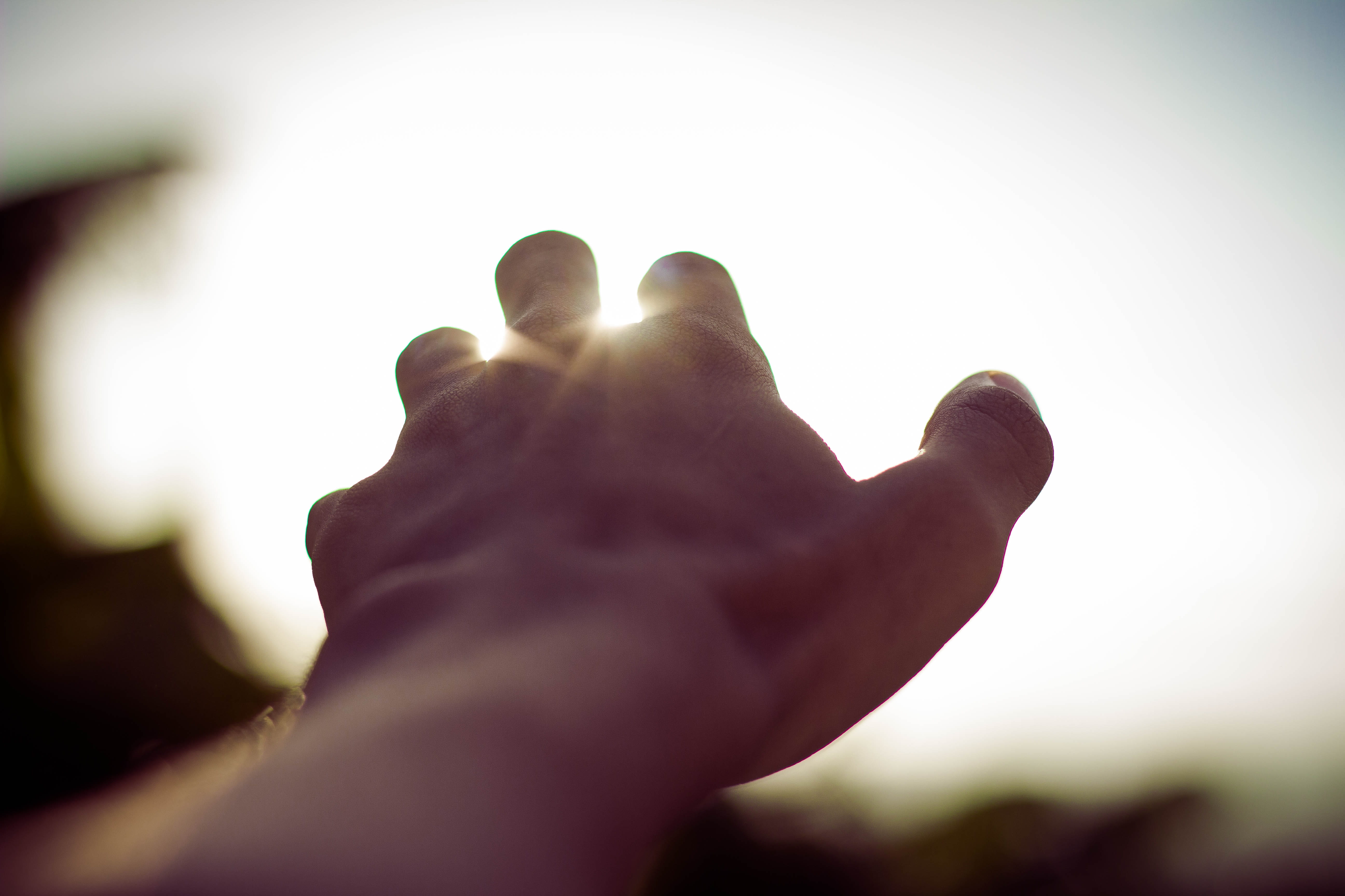 sunrise, human limb, focus on foreground, outdoors, copy space, close-up, 5K, sky, back lit, hand, nature, selective focus, vintage, sunlight, lens flare, HD Wallpaper