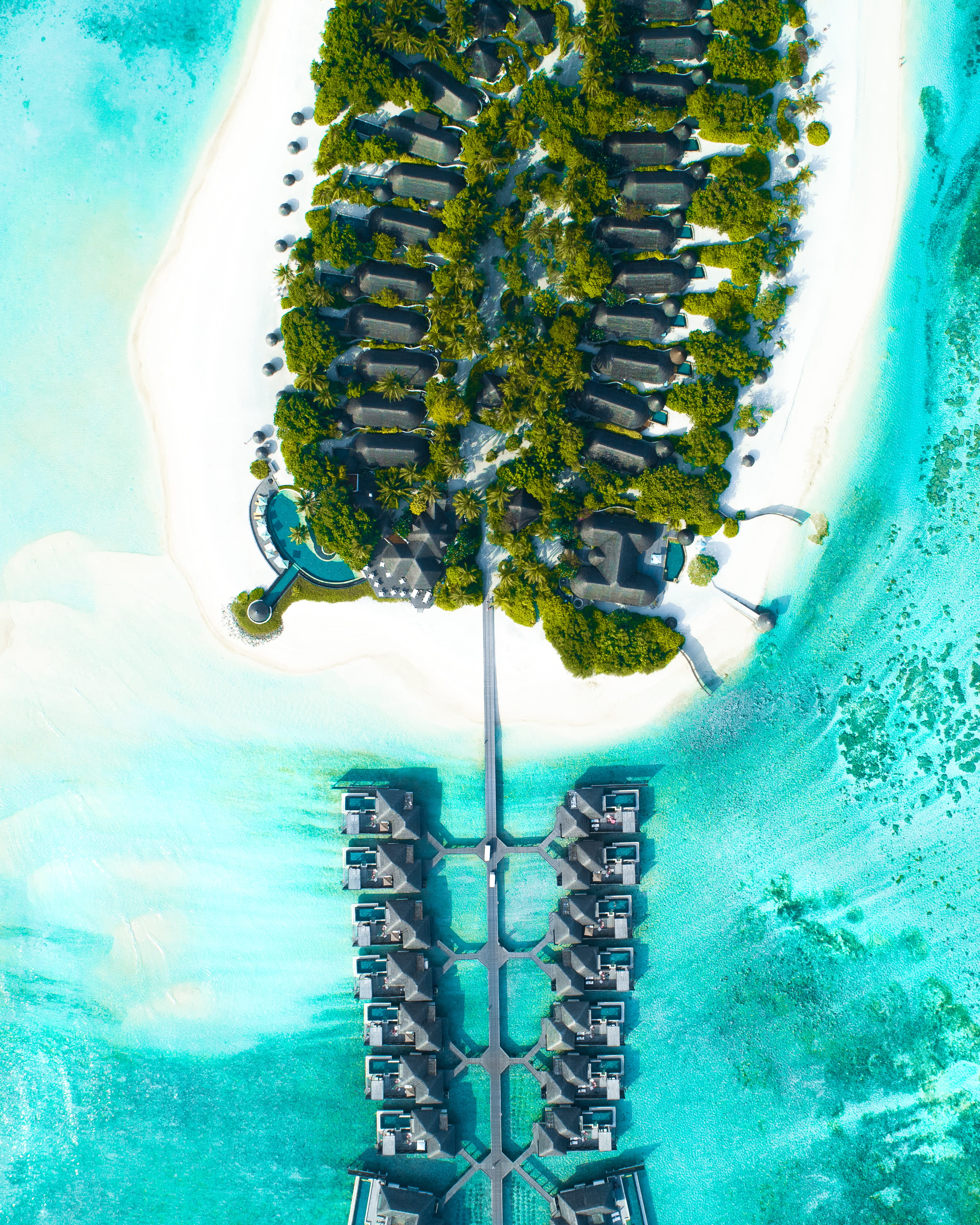 beach, water, land, animal themes, pool, rise, outdoors, day, transparent, nature, ocean, motion, shoreline, island, underwater, turquoise colored, Phone HD Wallpaper