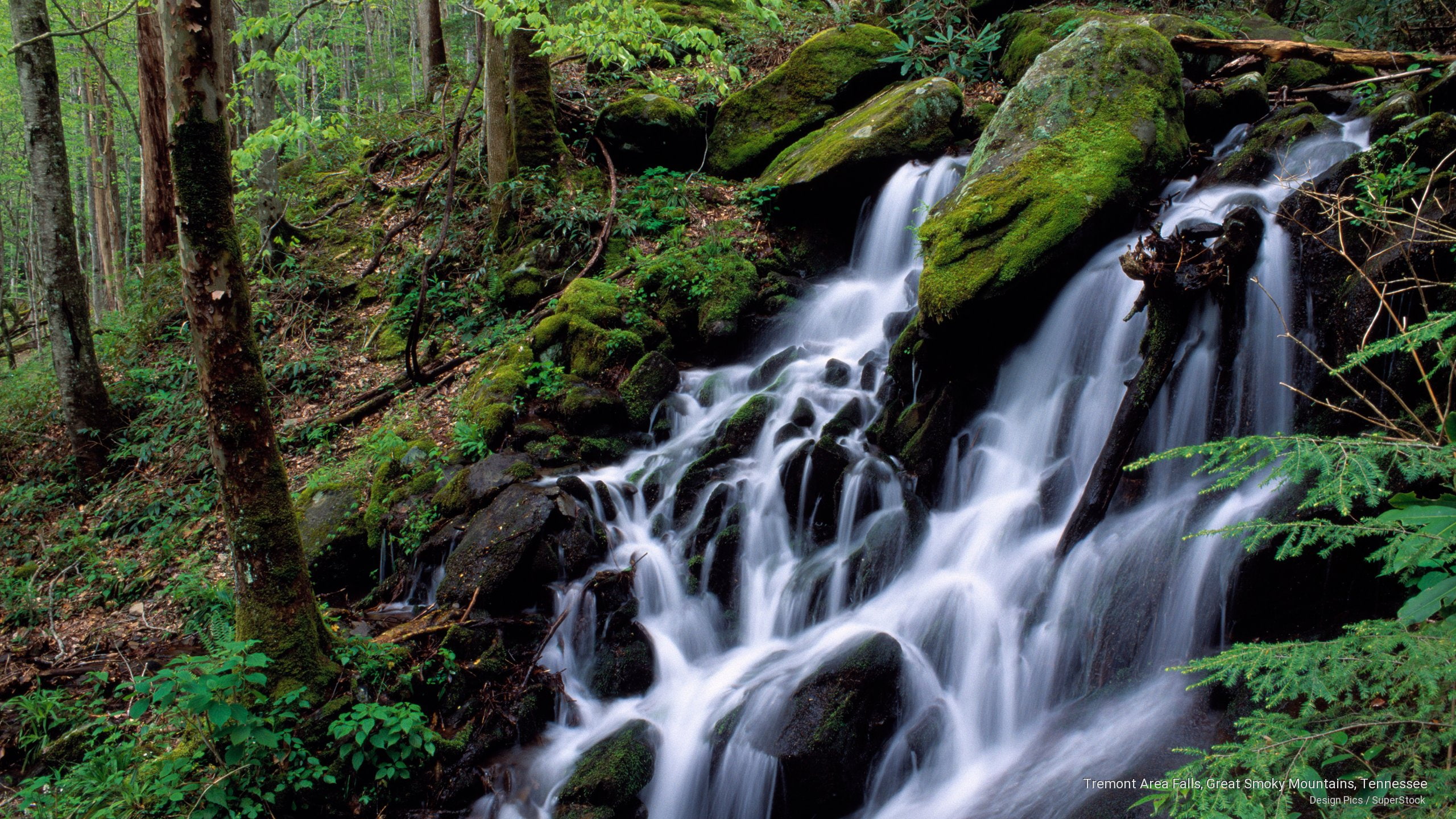 area, Waterfalls, tremont, falls, tennessee, smoky, 2K, great, mountains, HD Wallpaper