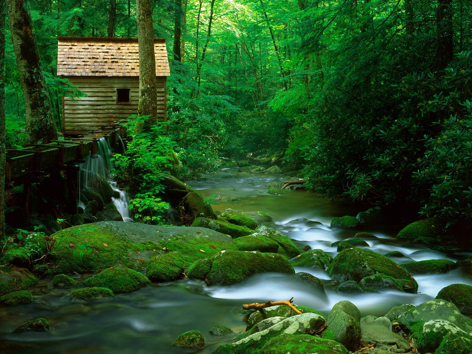 720P, Scenery, outdoors, near, tree, river, water, house, green color, great, waterfall, forest, motion, growth, scenics - nature, tranquility, HD Wallpaper