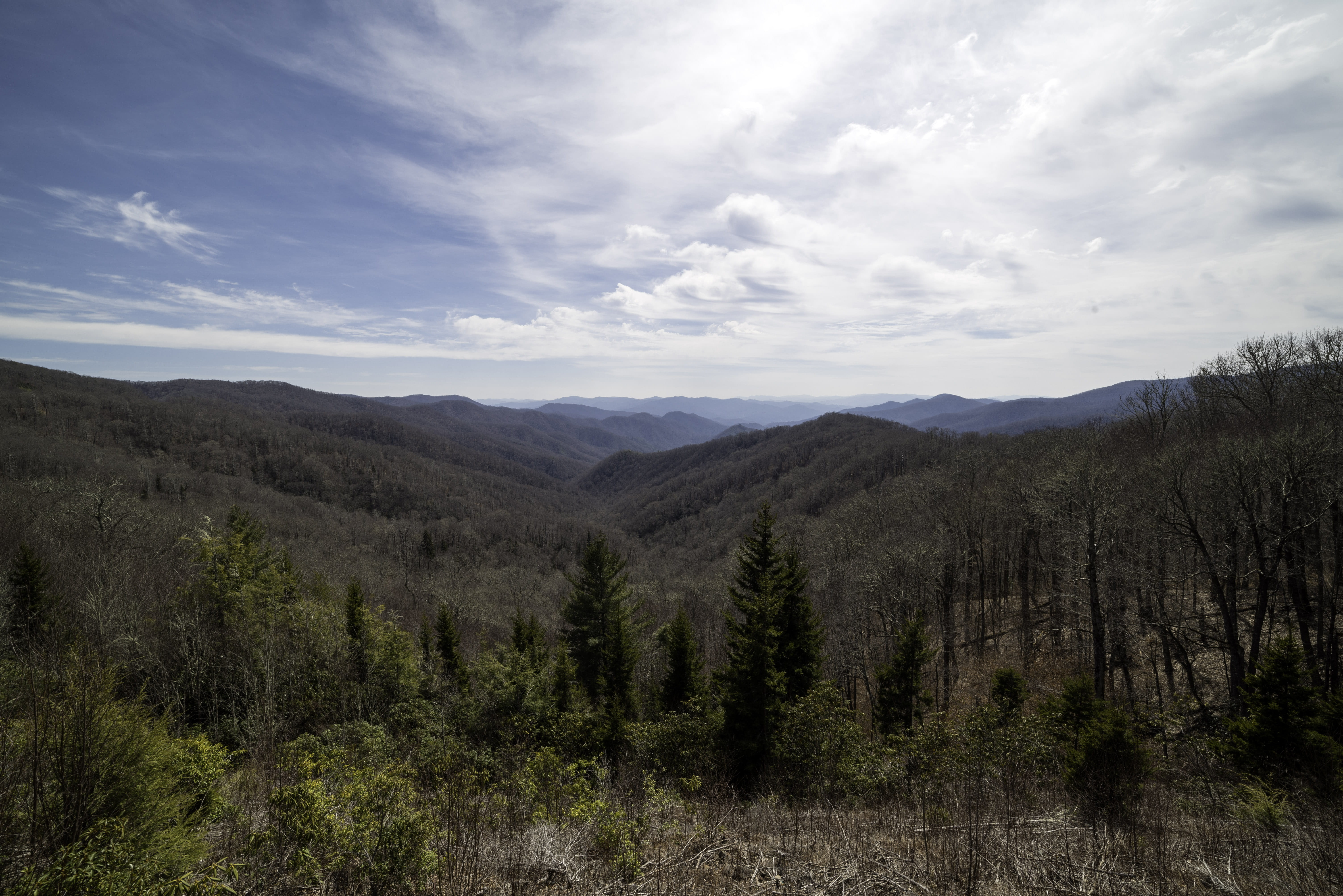 mountain, great, beauty In Nature, North Carolina, pine tree, plant, non-urban scene, land, no people, outdoors, carolina, idyllic, landscapes, mountain Range, HD Wallpaper