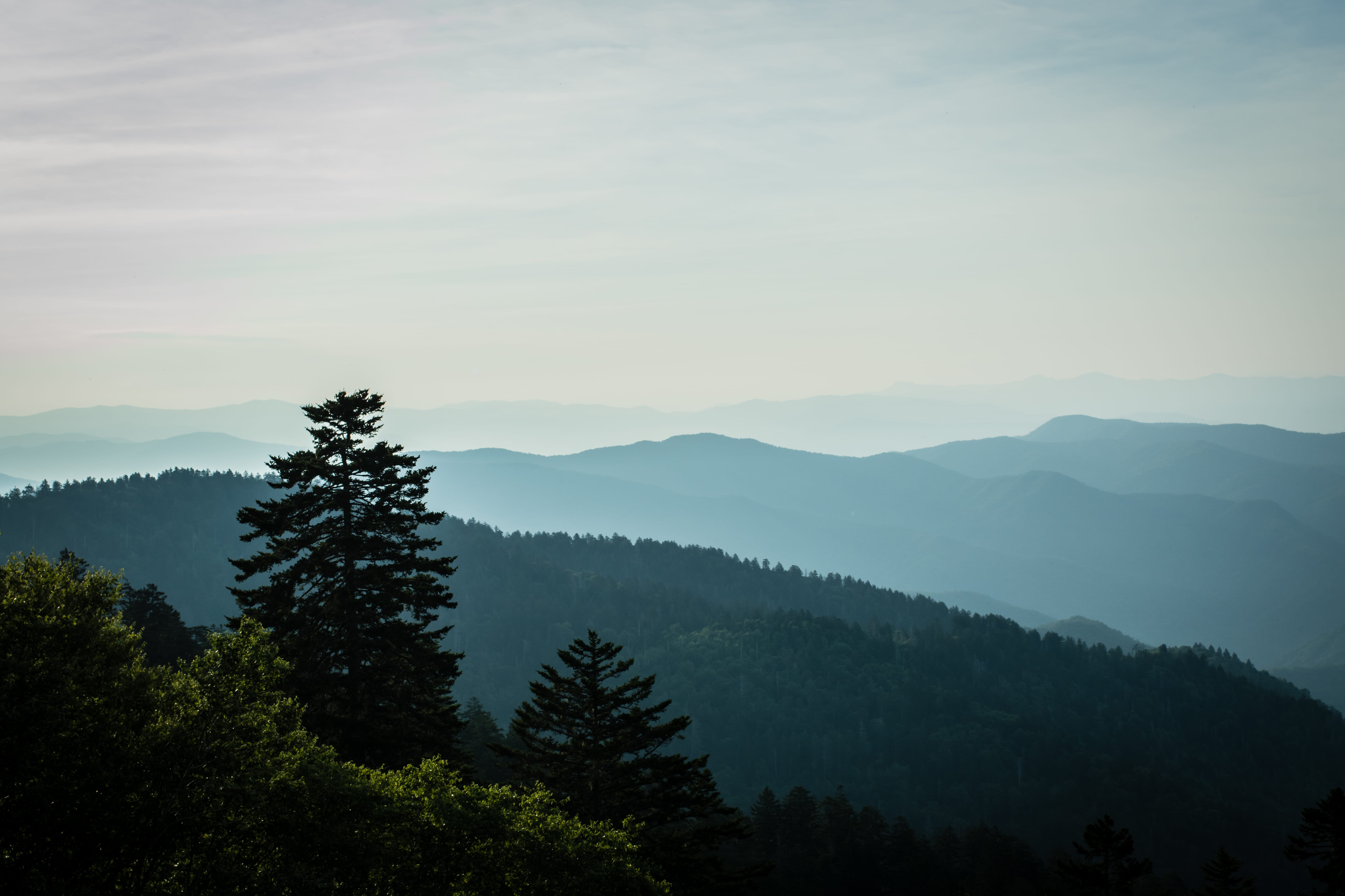 non-urban scene, forest, fog, 5K, tennessee, environment, smoky mountains, mountain range, national park, nature, coniferous tree, north carolina, sky, HD Wallpaper
