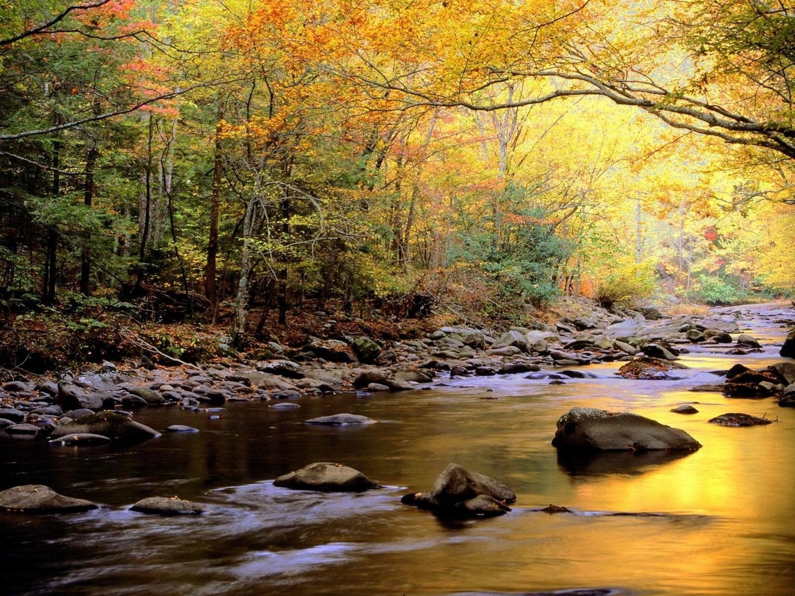 trees, smoky, water, lakes, landscapes, tennessee, golden, reflections, mountains, park, nature, great, 720P, national, HD Wallpaper