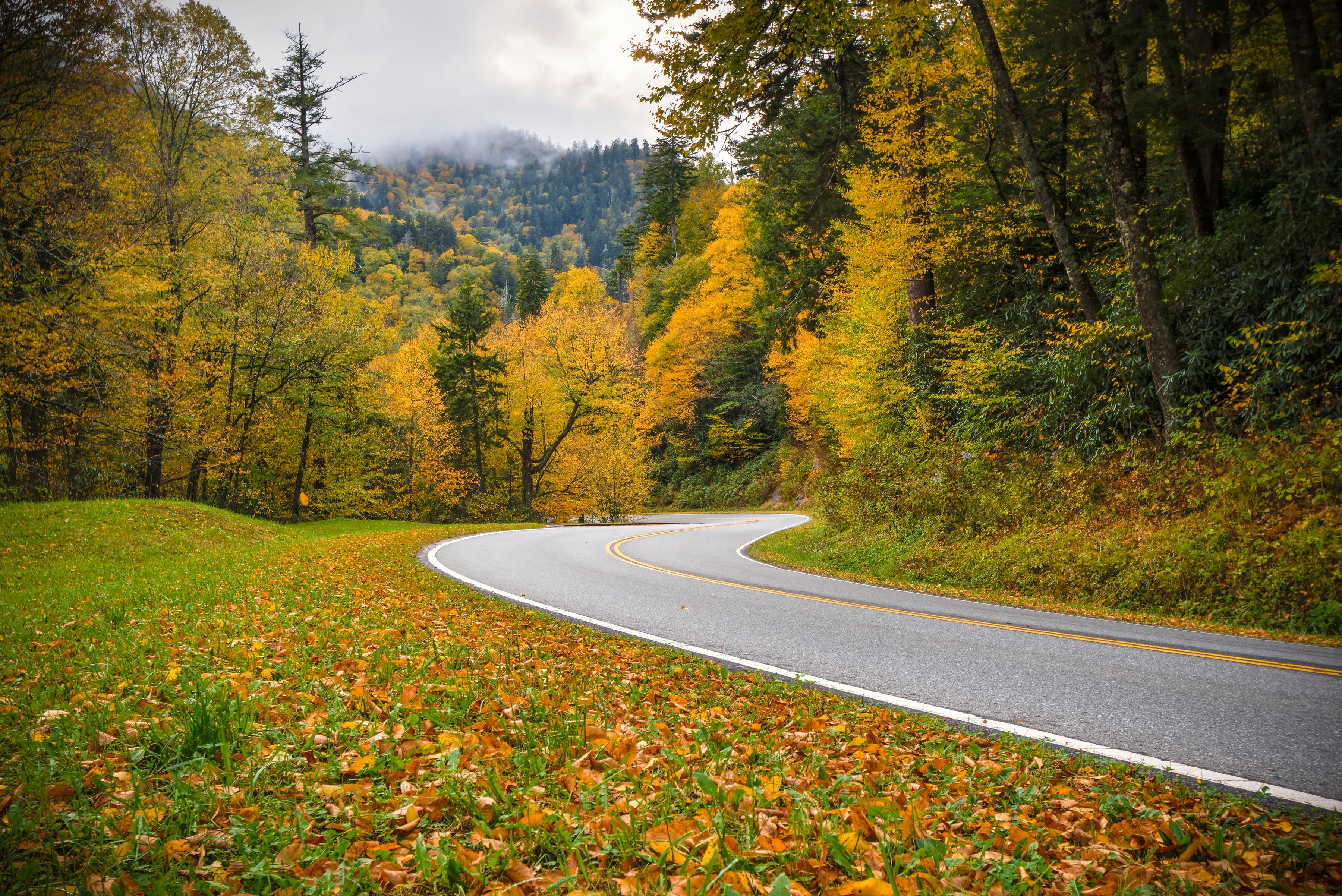 Tn, road, forest, Great Smoky Mountains National Park, autumn, National Park great smoky mountains, 2K, Tennessee, HD Wallpaper