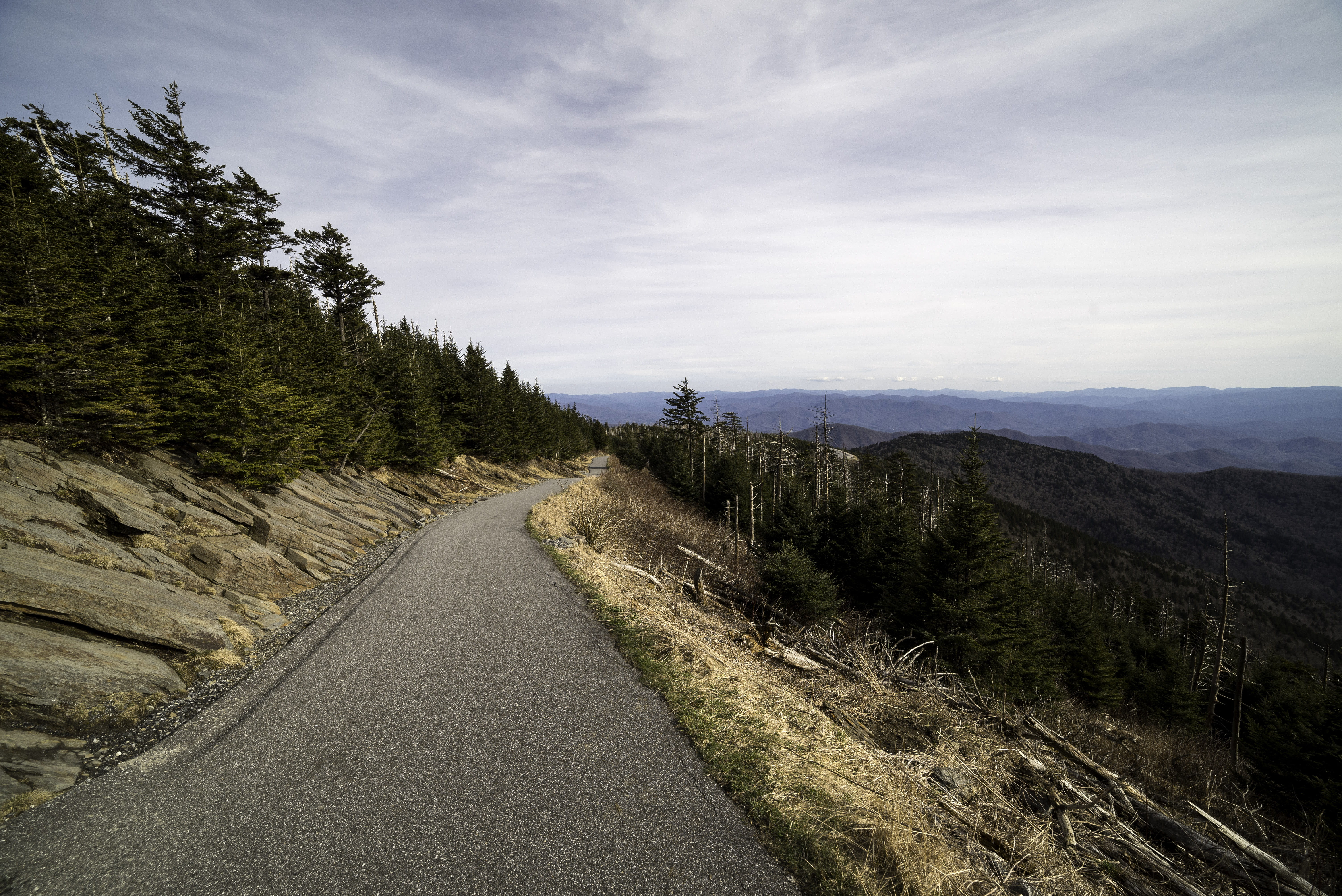 road, path, environment, Tennessee, diminishing perspective, Trail, the way forward, cloud - sky, smoky, no People, tree, 5K, tranquility, vanishing point, HD Wallpaper