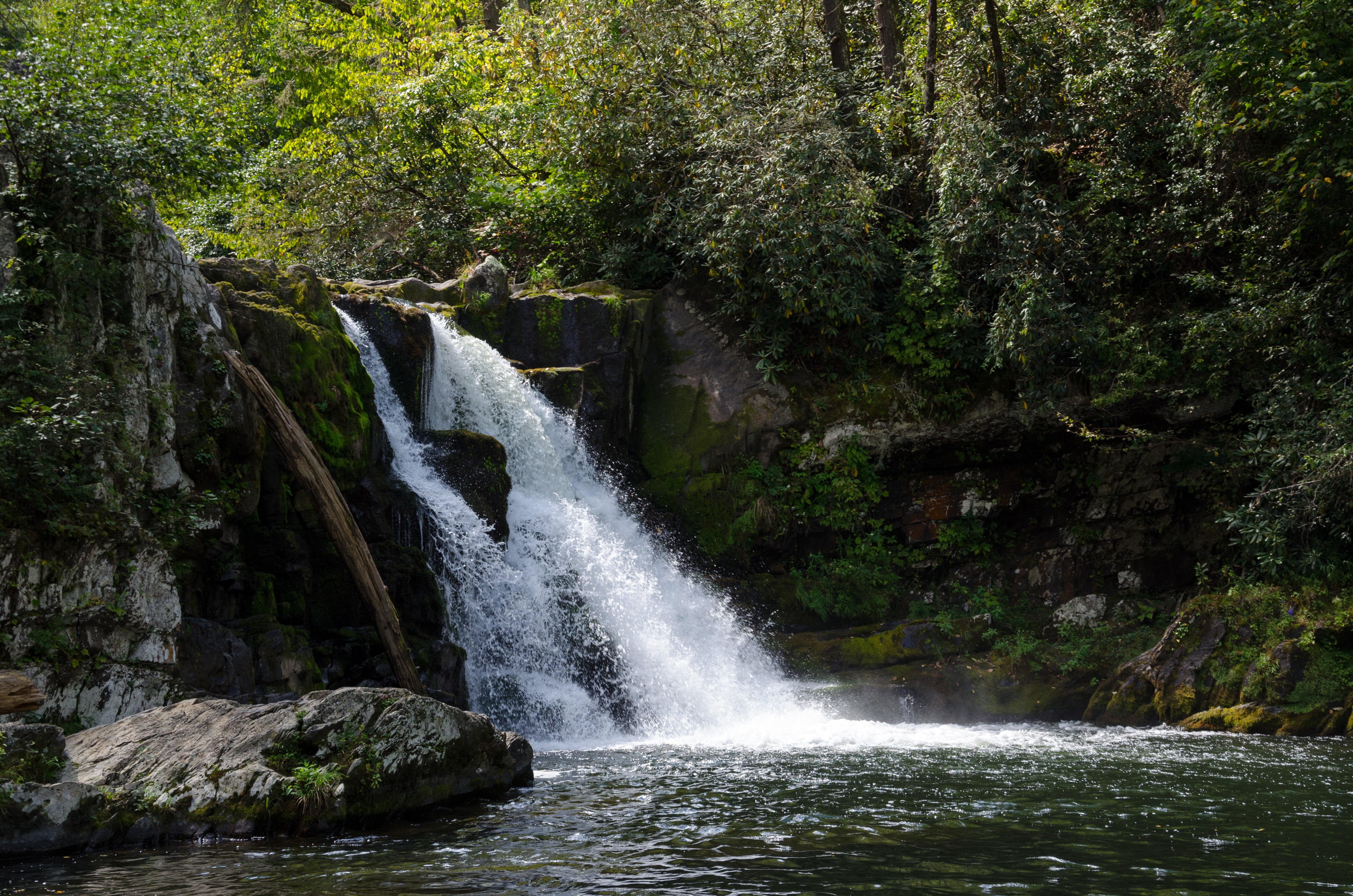 bach, long exposure, scenics - nature, water, usa, abraham creek, outdoors, hiking, abraham if, trees, waterfalls, southern states, day, rainforest, river, HD Wallpaper