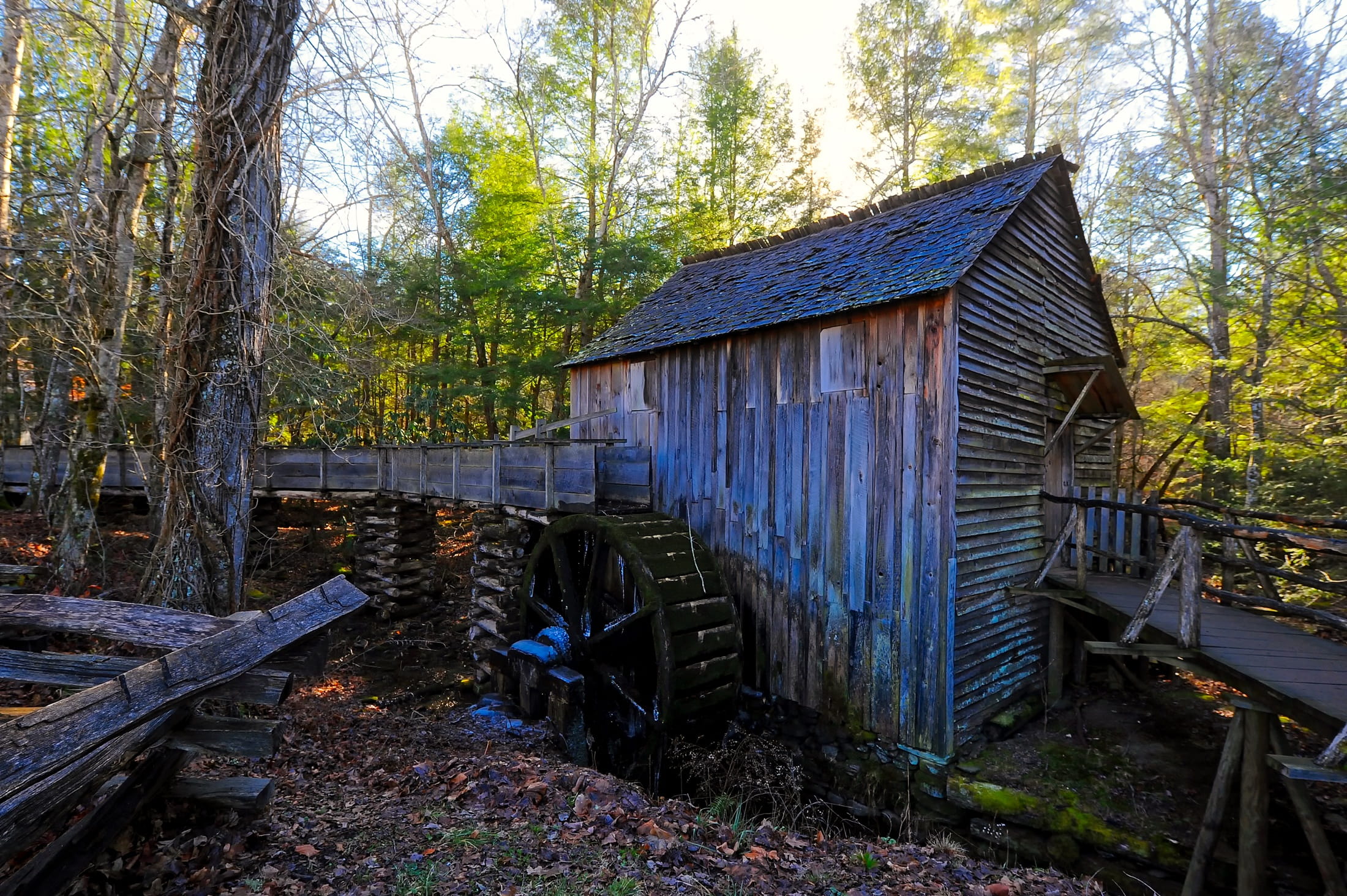 view, decline, abandoned, run-down, nature, obsolete, no people, forest, plant, attractions, granary, mill, deterioration, built structure, national park, HD Wallpaper