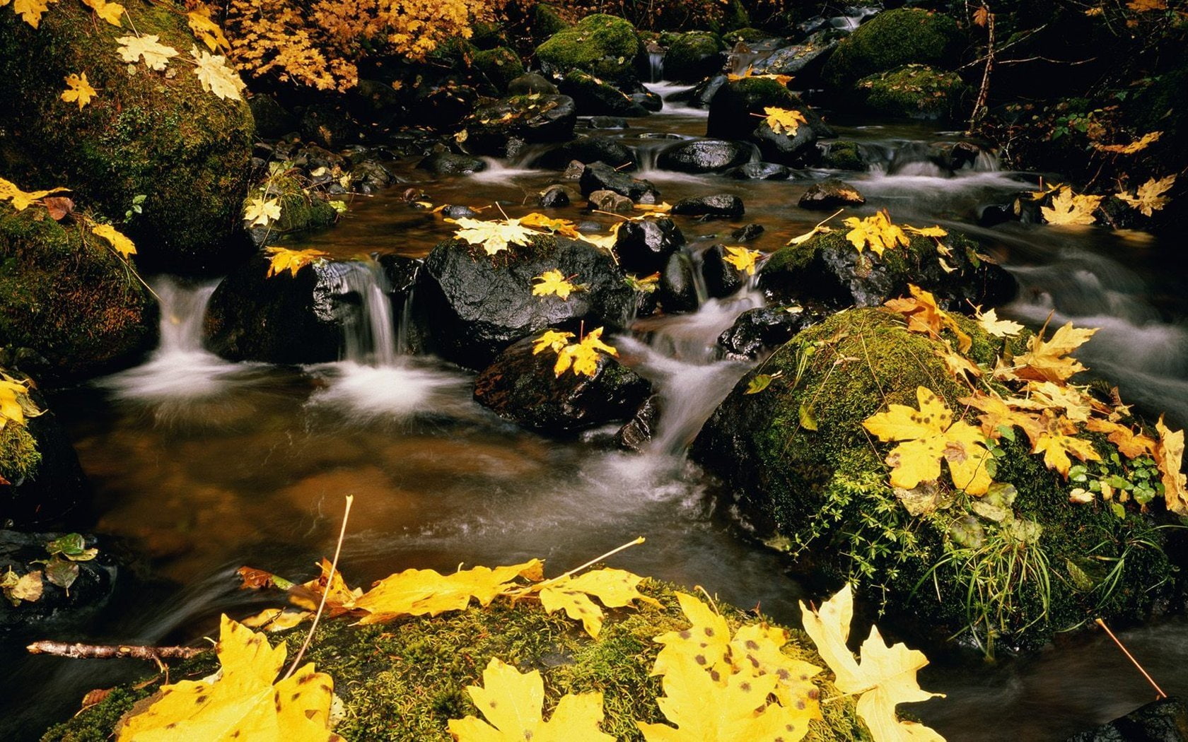 change, national, mountains, seasons, tennessee, great, smoky, park, landscapes, 720P, HD Wallpaper