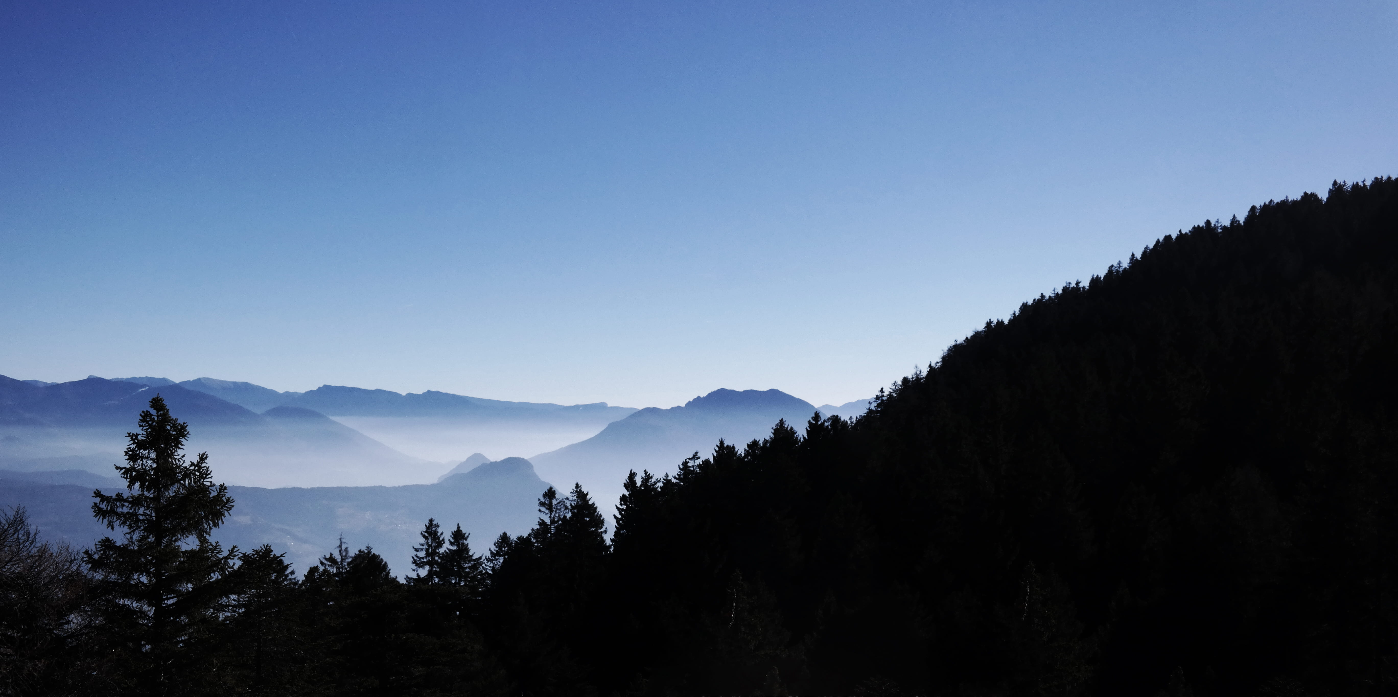 pine tree, smoky, pine woodland, forest, idyllic, view, no people, environment, mountain peak, mountain range, woodland, sky, nature, copy space, land, HD Wallpaper