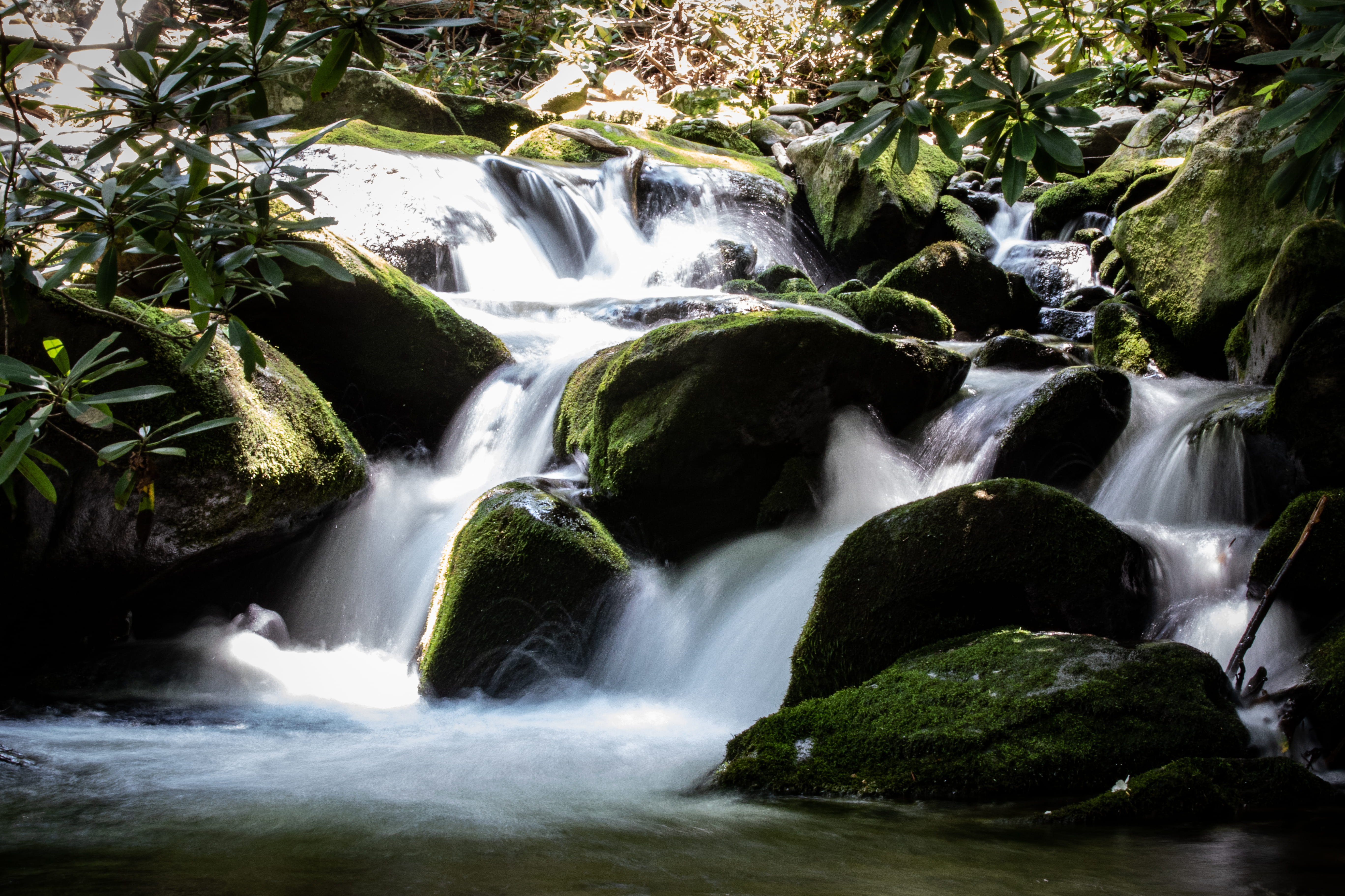 rainforest, scenics - nature, beauty in nature, 5K, outdoors, growth, solid, plant, national park, tree, forest, mountains, waterfall, stream - flowing water, HD Wallpaper