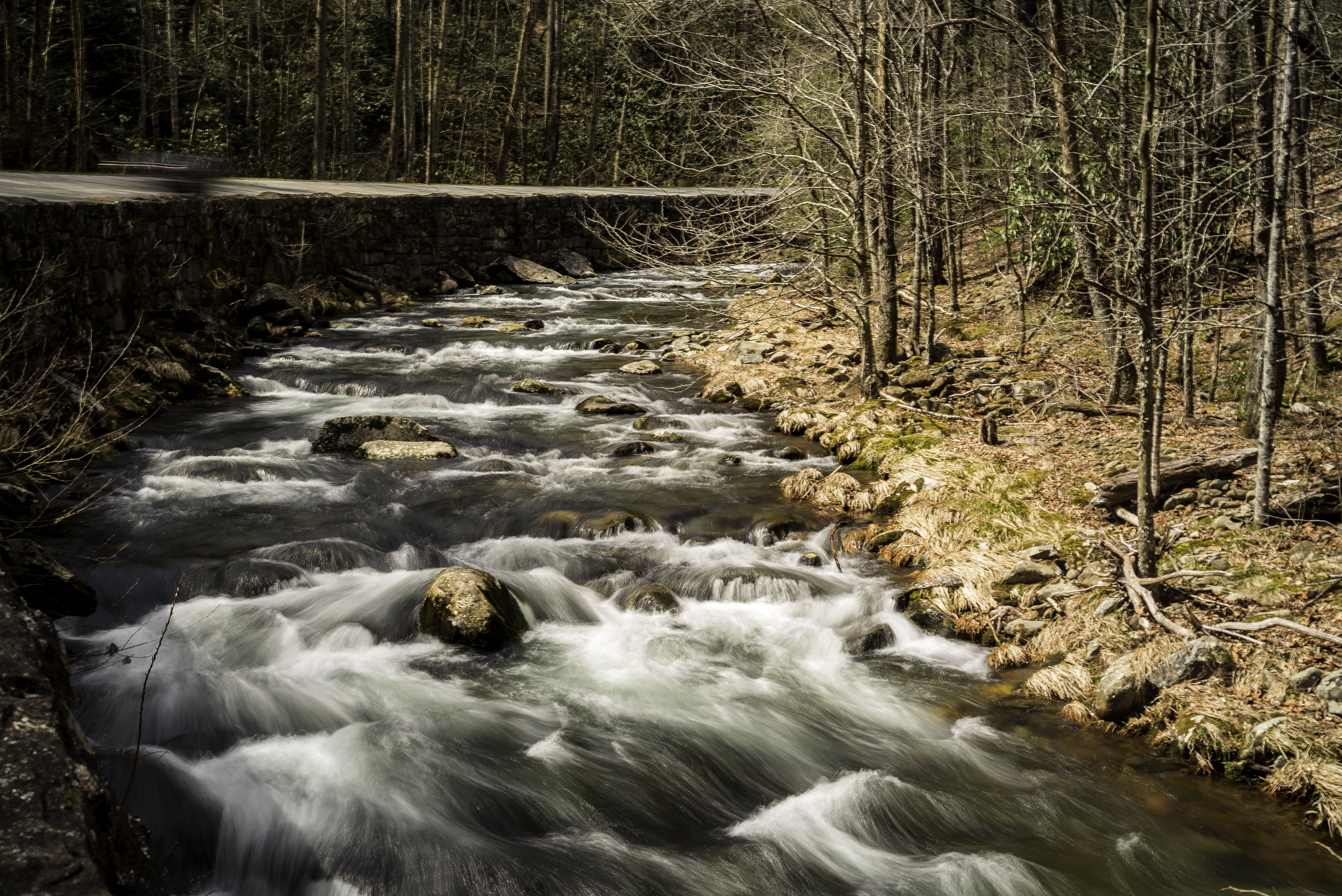 nature, flowing, 5K, river, scenics, photos, landscape, flowing Water, park, great, national, forest, landscapes, land, woodland, north, featured, power in nature, HD Wallpaper