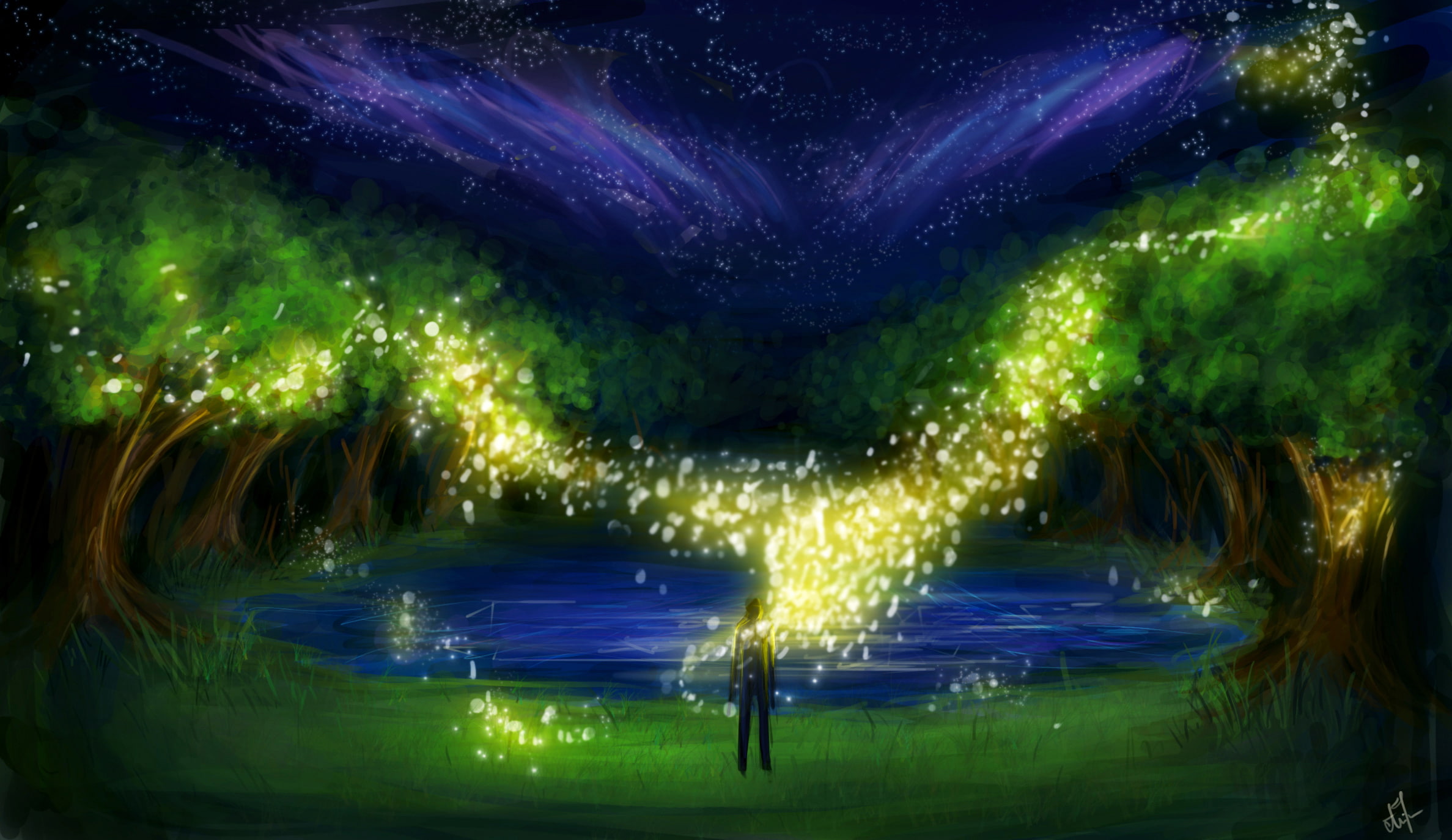 outdoors, art, painting, glowing, sparks, light - natural phenomenon, water, nature, blurred motion, light, arts culture and entertainment, plant, grass, HD Wallpaper