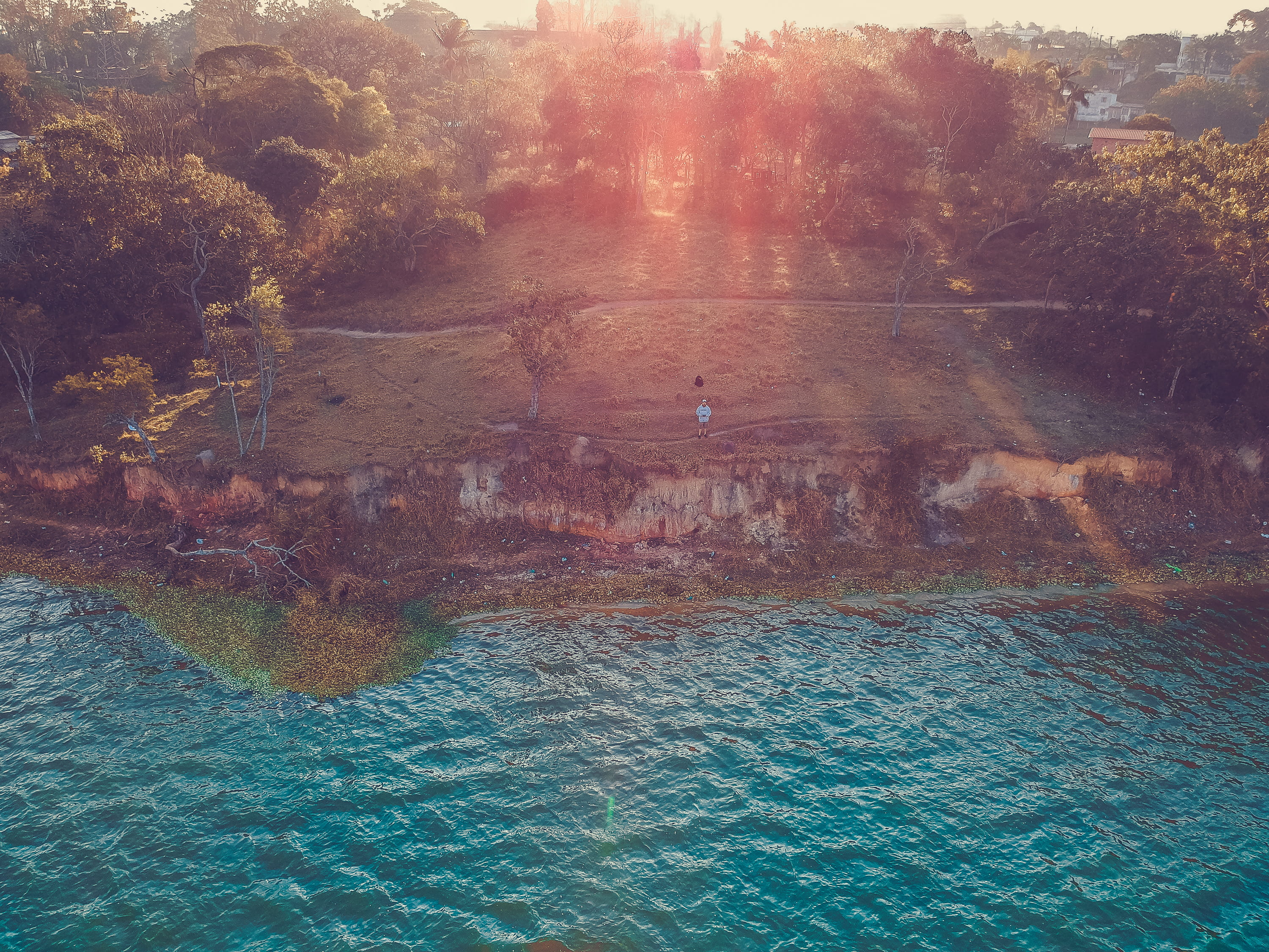 trees, sunlight, nature, serjosoza, drone, billings, tranquility, outdoors, beauty in nature, tree, sea, idyllic, water, day, djispark, waterfront, spark, HD Wallpaper