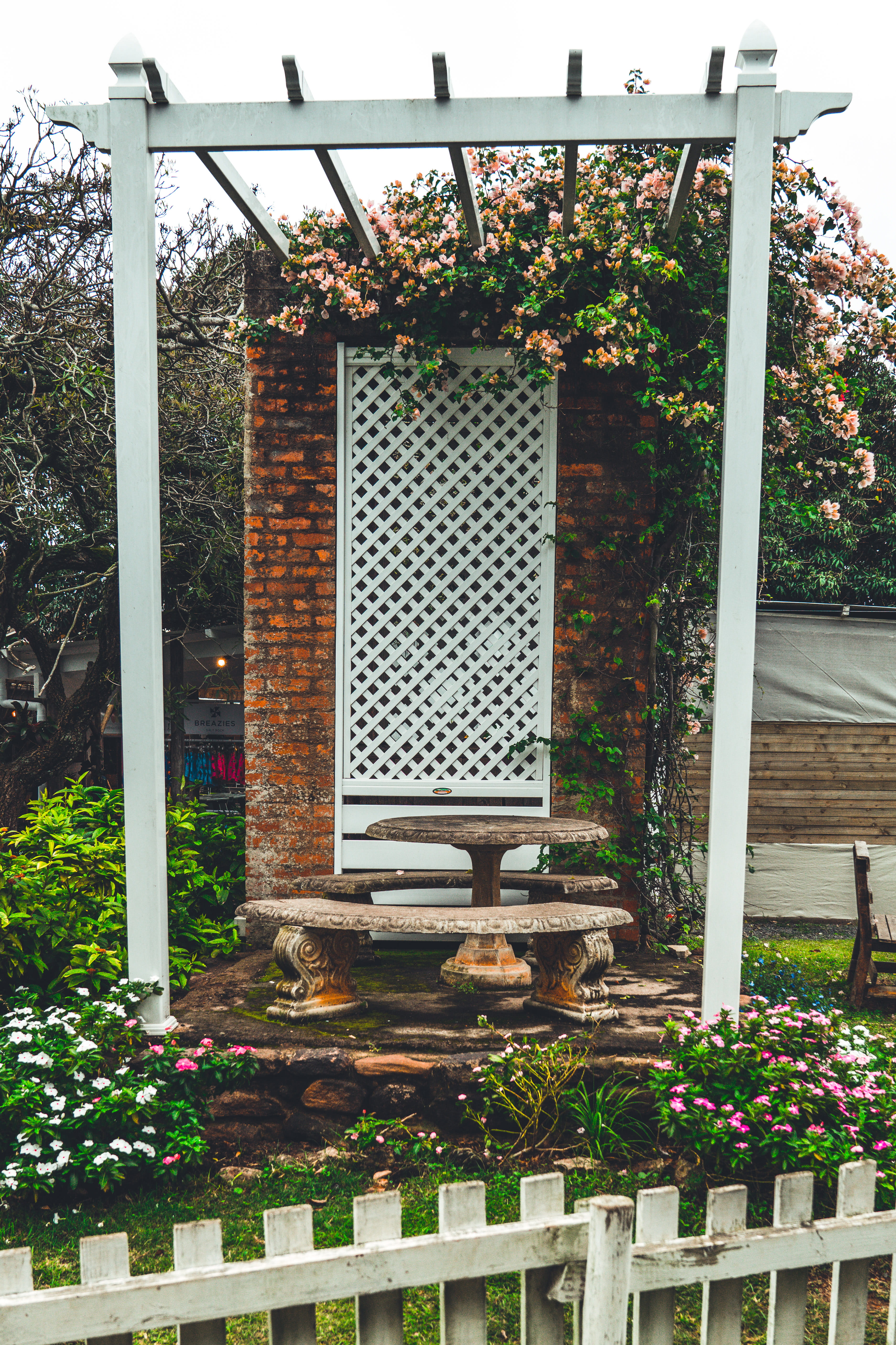 chairs, building, growth, south africa, buyilding, tree, park bench, front or back yard, vines, 5K, house, plant, no people, concrete, outdoors, park, Phone HD Wallpaper
