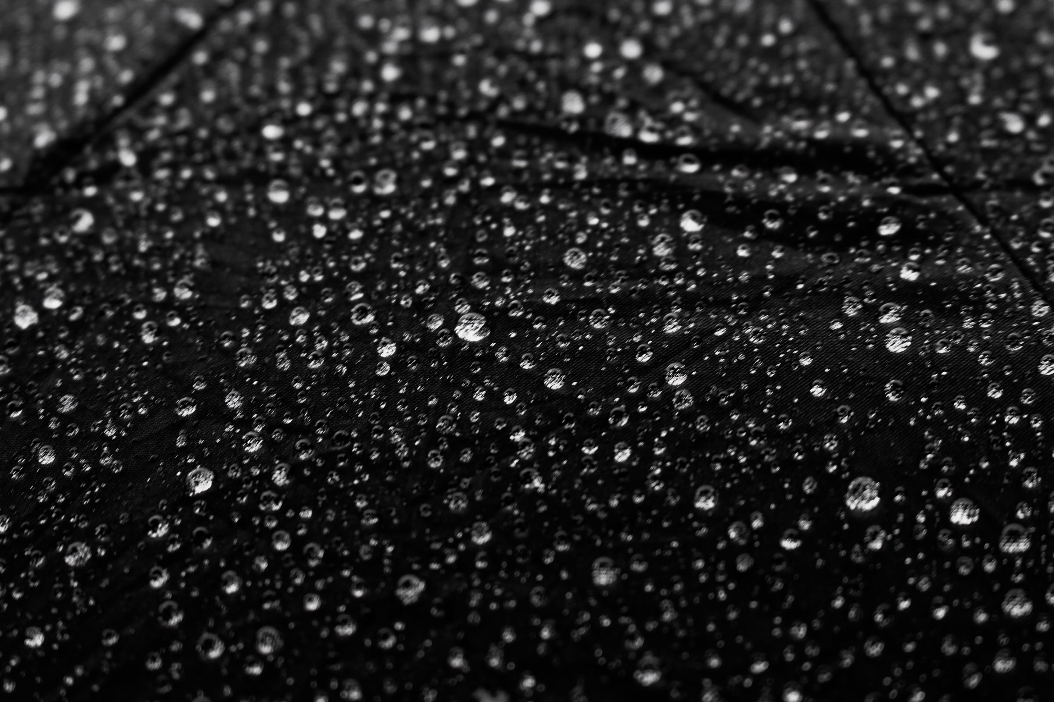 travel, full frame, water, drops, misty, environment, droplets, photography, 2K, indoors, black color, gravel, south africa, forest, nature, no people, HD Wallpaper