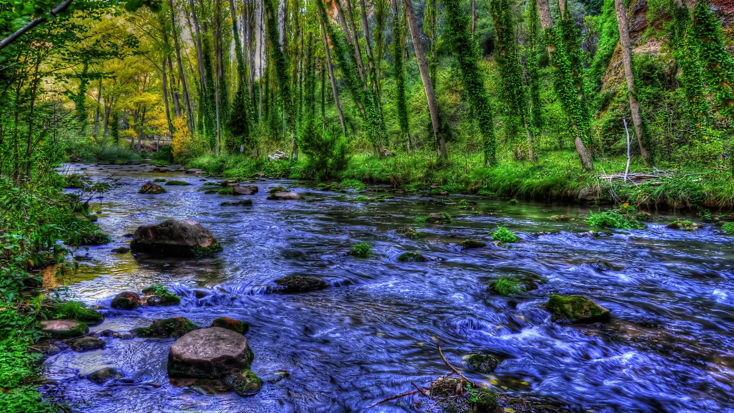 2K, trees, river, green, creek, blue, beauty, 3d and abstract, timelapse, nature, flowing, dream, little, stream, water, HD Wallpaper