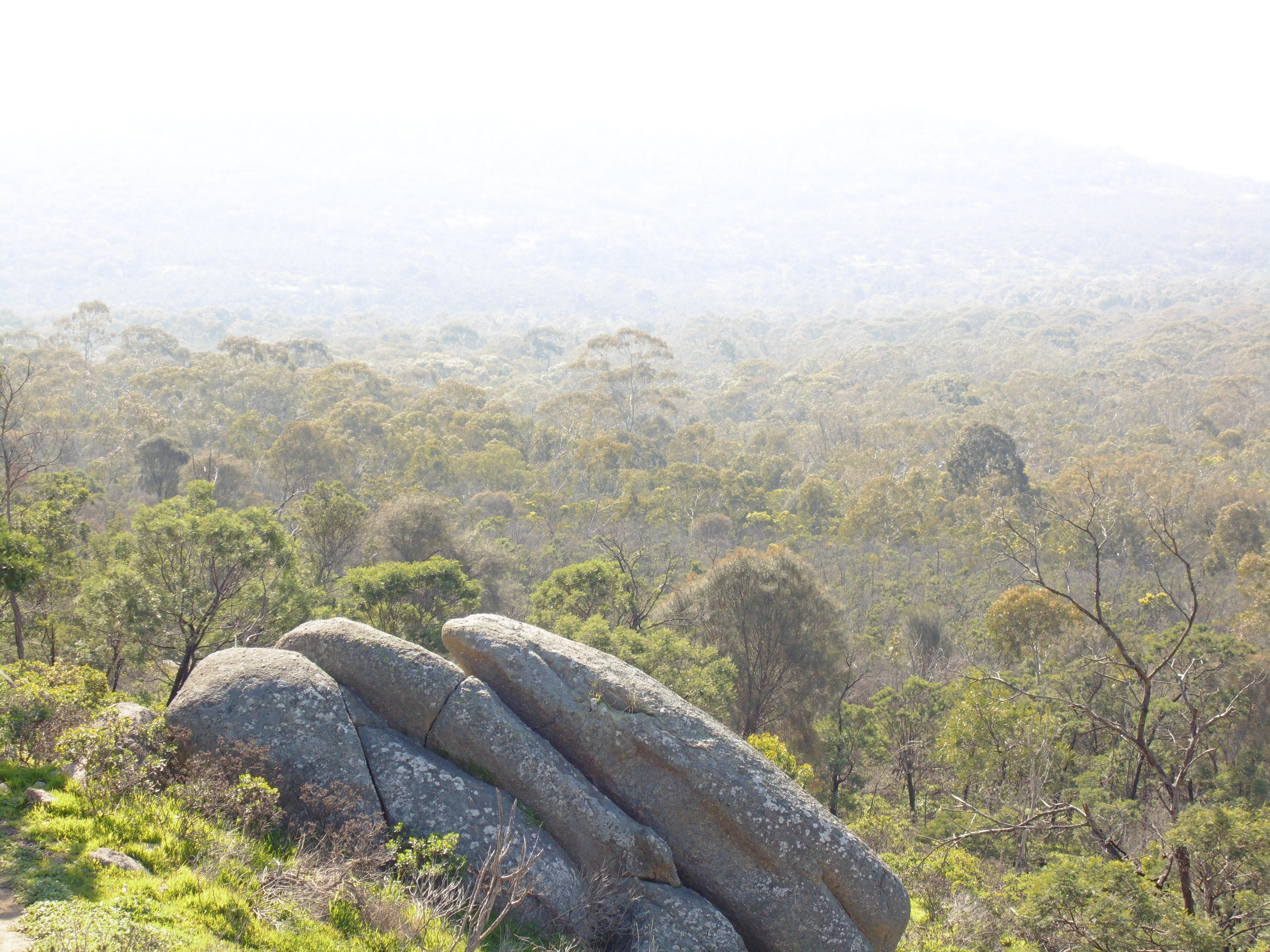 5K, little river, australia, remote, tranquil scene, tree, mountain, environment, plant, rock - object, outdoors, scenics - nature, you yangs regional park, HD Wallpaper