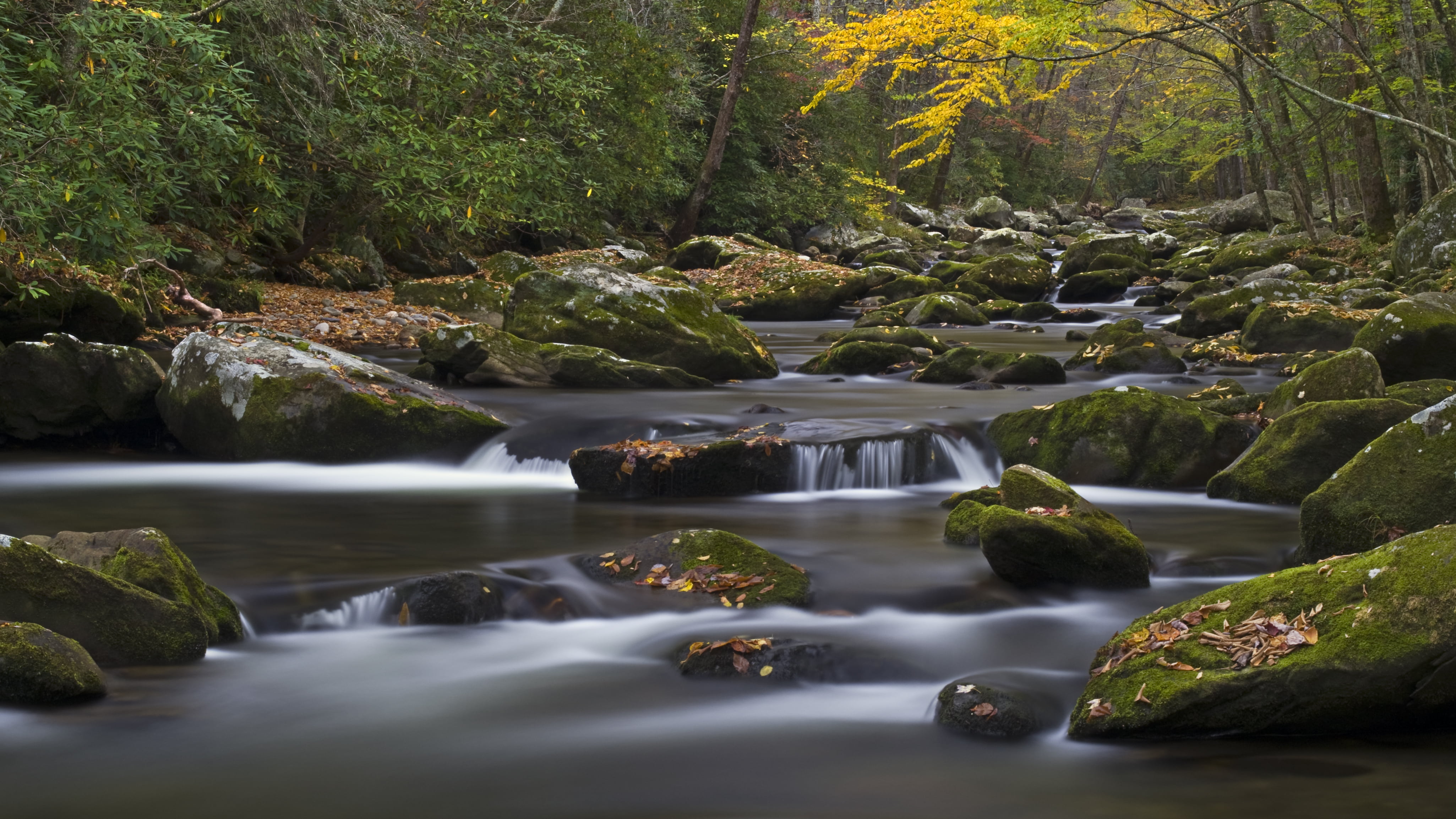 Slow, Pentax, freshness, Landscape, beauty In Nature, Popular, Smooth, outdoors, Polarizing Filter, Smoky Mountains, Neutral Density, Top, timelapse, Leaves, HD Wallpaper