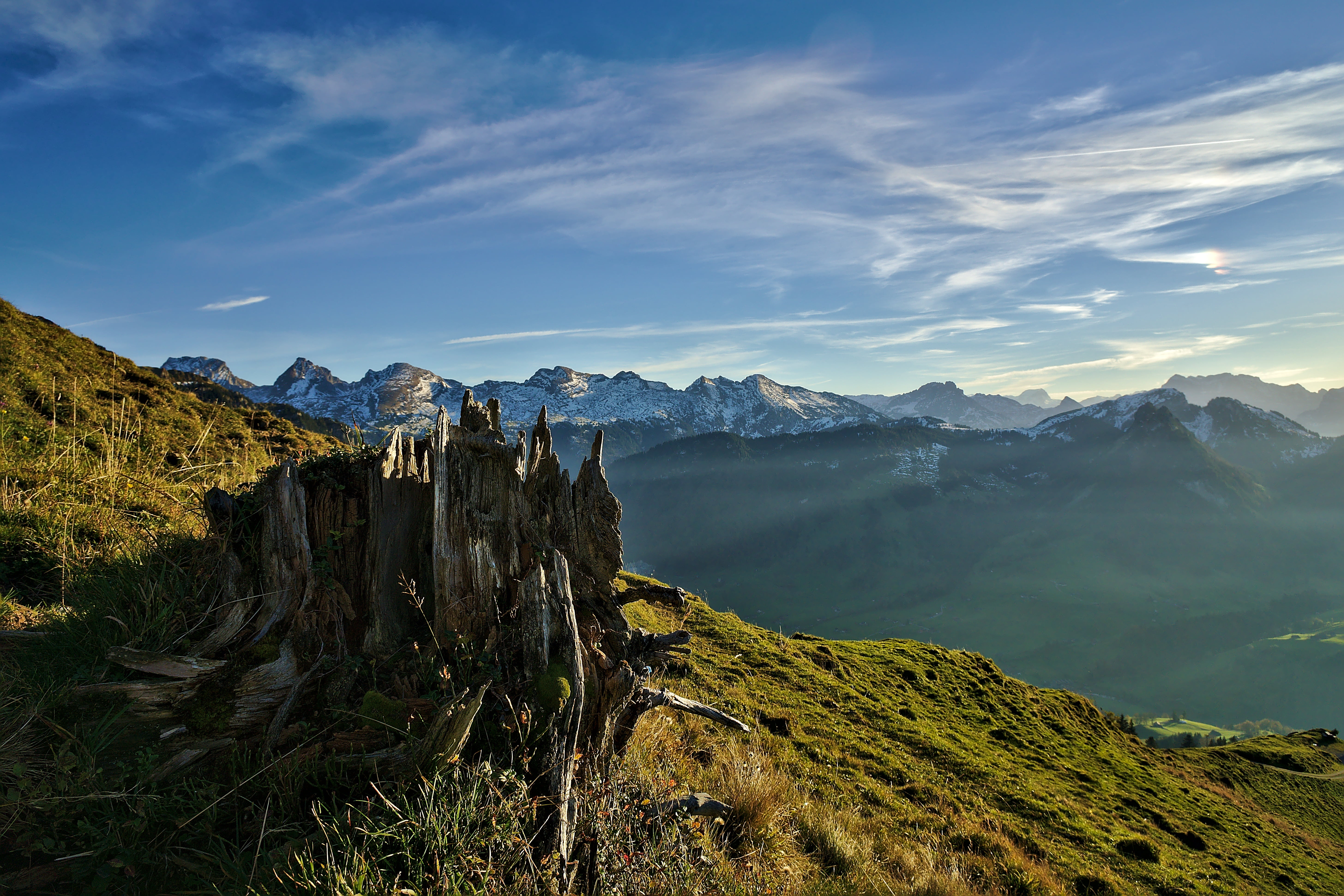 a6000, cut, sel-1018, tree, viewing, outdoors, european Alps, switzerland, mountain Range, summer, photo, mountain, scenics, 5K, mountain Peak, Stockberg, HD Wallpaper