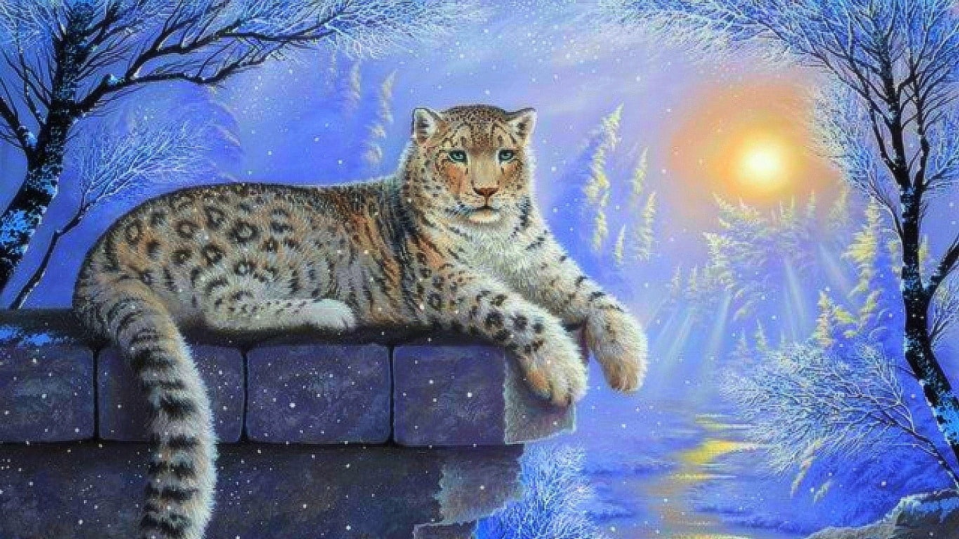 feline, Sonne, resting, relaxation, pets, water, Deutschland, animal, Leopard, animals in the wild, 720P, Blau, rock - object, day, big cat, mammal, animal themes, HD Wallpaper