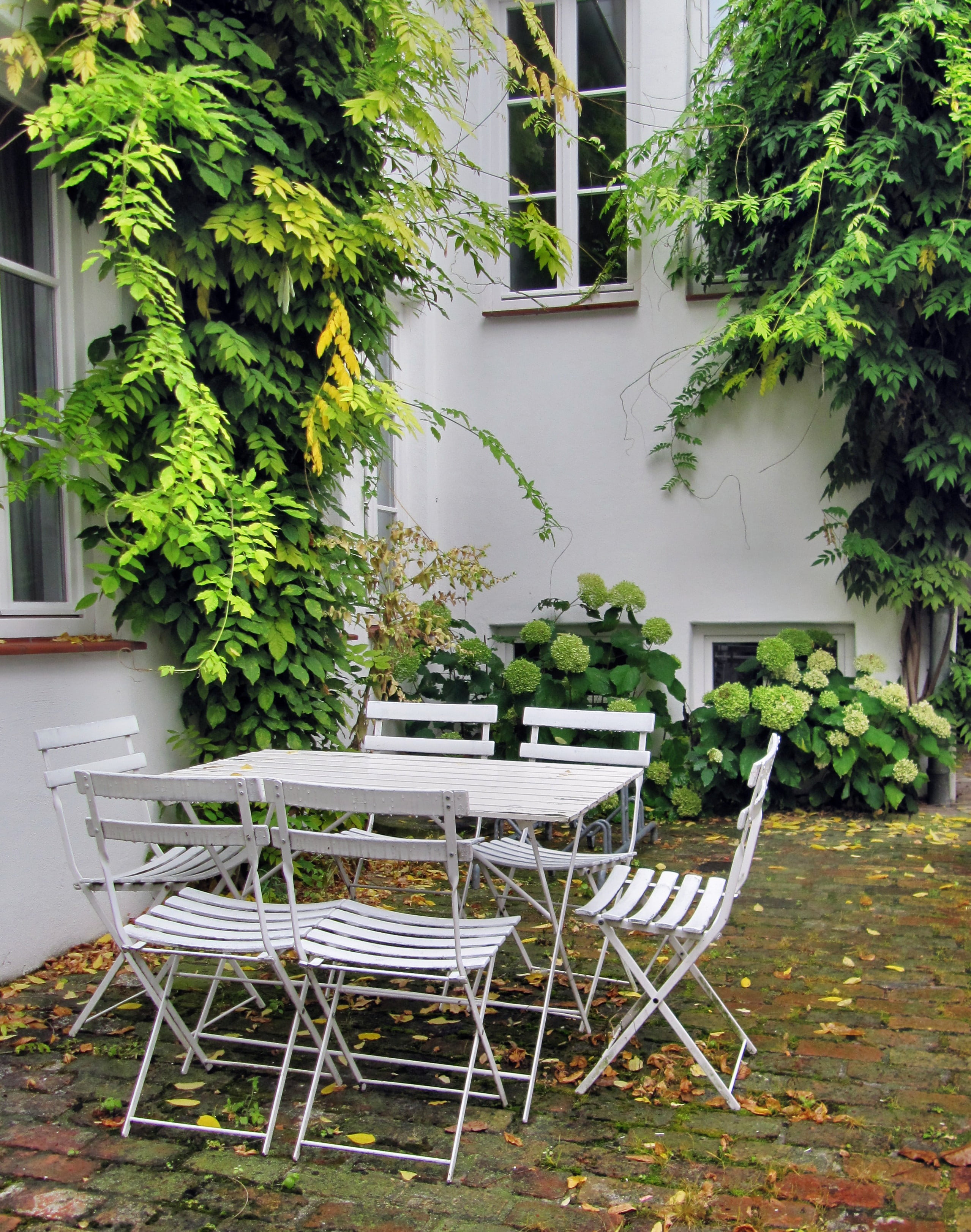 building, idyllic, garden chairs, garden furniture, seat, white house wall, outdoor chair, leaf, outdoors, trellis window, table, chair, growth, idyll, Phone HD Wallpaper