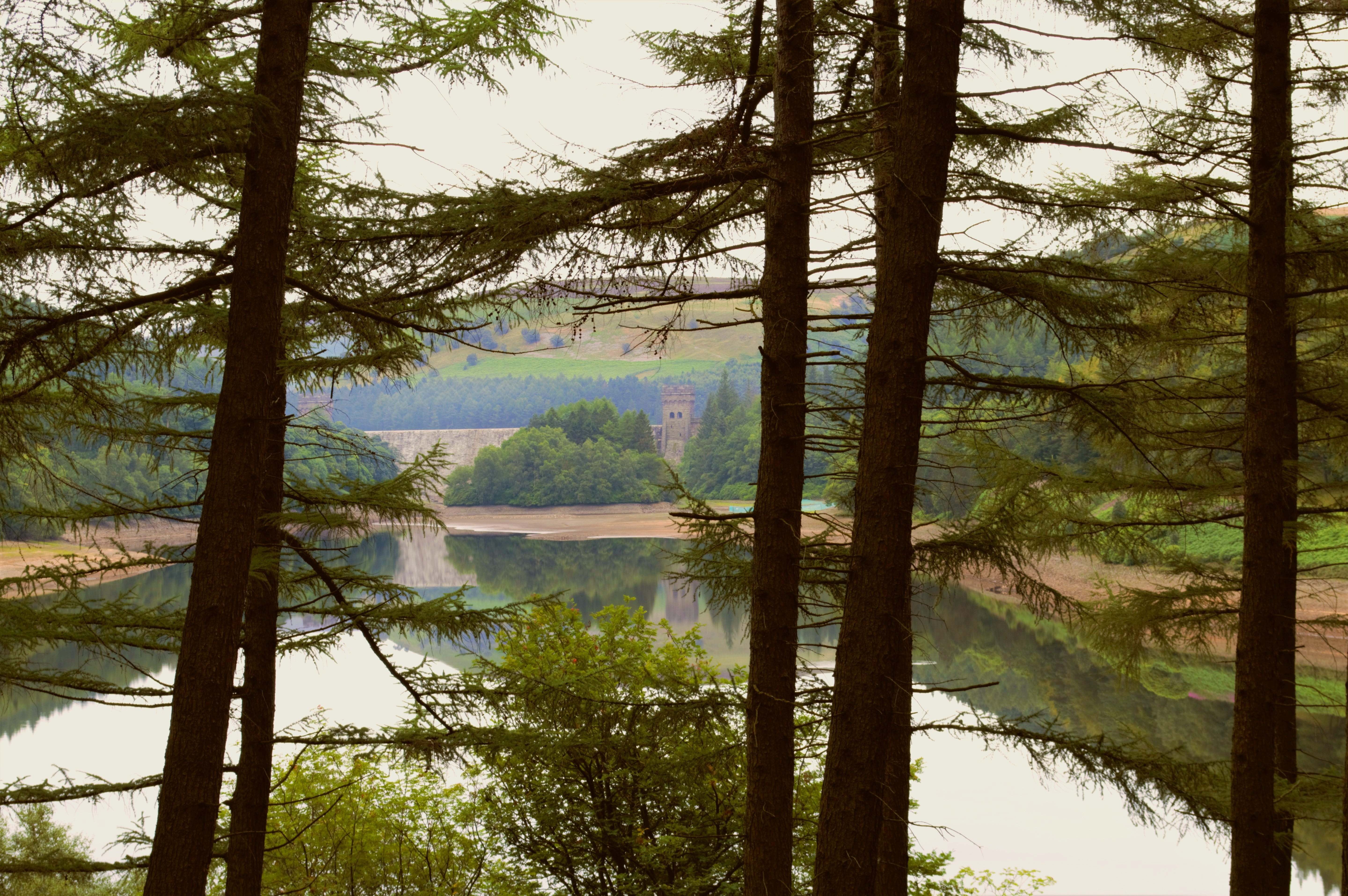 growth, reflection, dam, trees, 617 squadron, tree, land, howden dam, no people, upper derwent reservoir, tranquil scene, scenics - nature, outdoors, mountain, HD Wallpaper