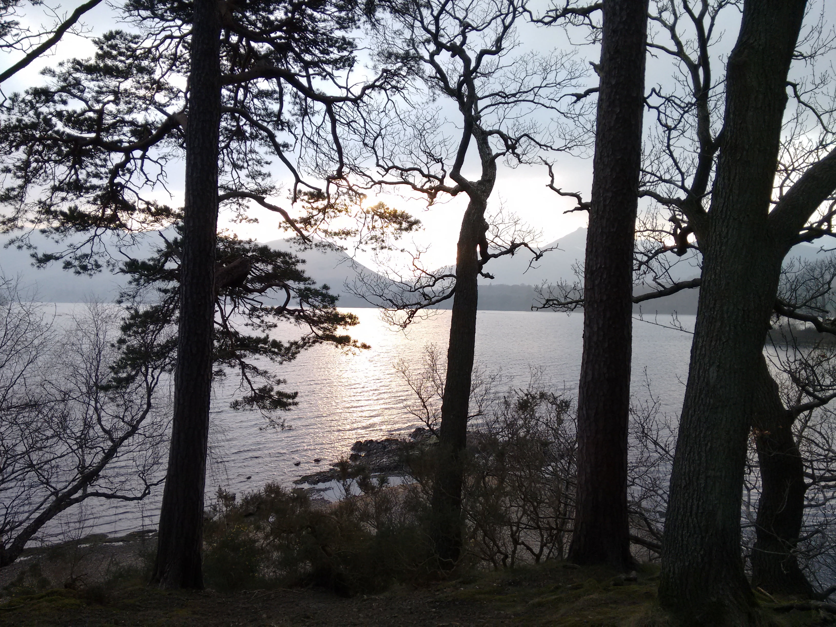 scenery, derwent water, scenic, day, 2K, outdoor, tranquility, nature, beach, mountain, scenics, forest, plant, non-urban scene, lake district, land, scenics - nature, HD Wallpaper