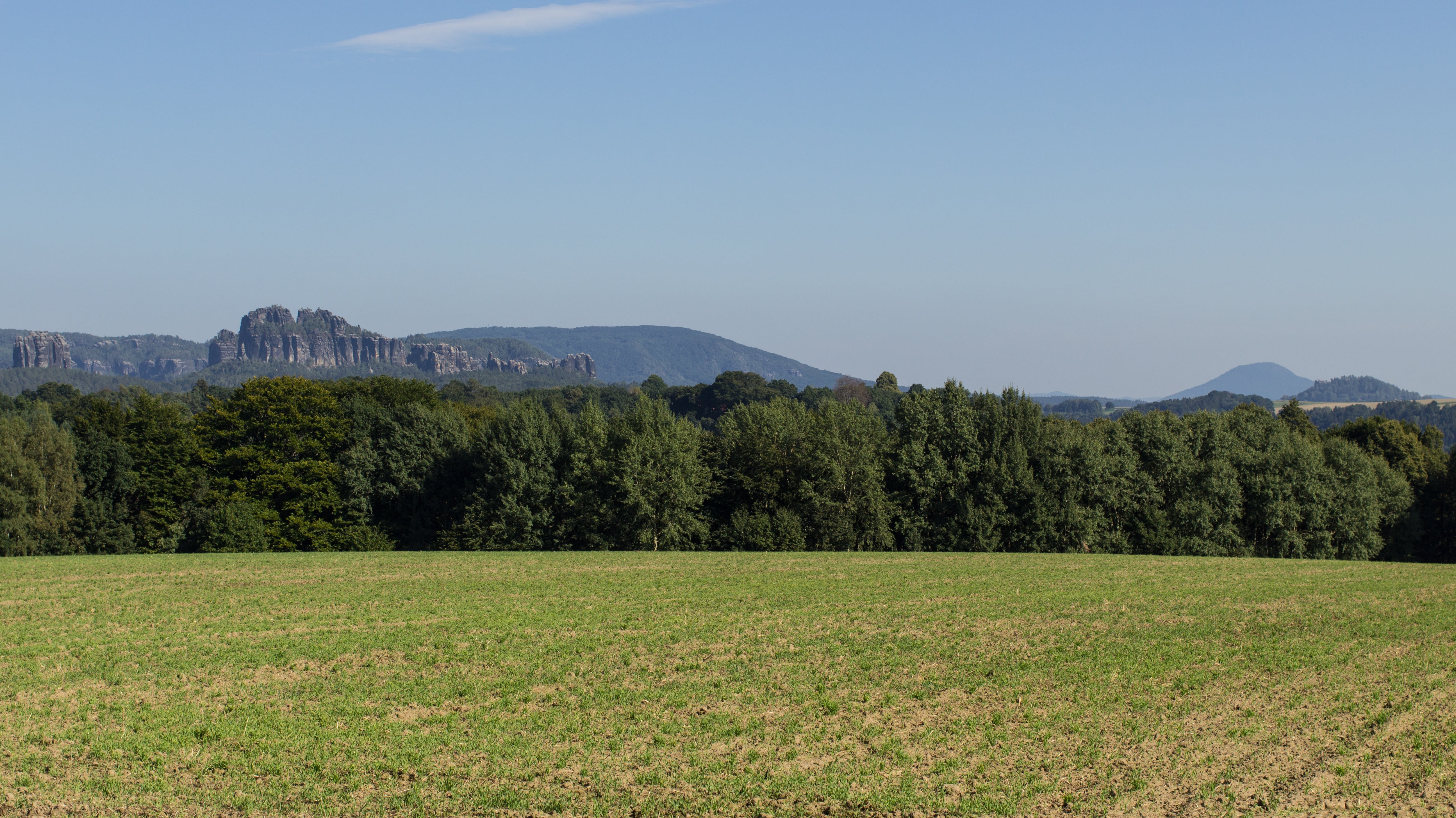 sky, green color, day, elbe sandstone mountains, land, up, wanderlust, 5K, tranquil scene, scenics - nature, outdoors, beauty in nature, tree, coniferous tree, HD Wallpaper