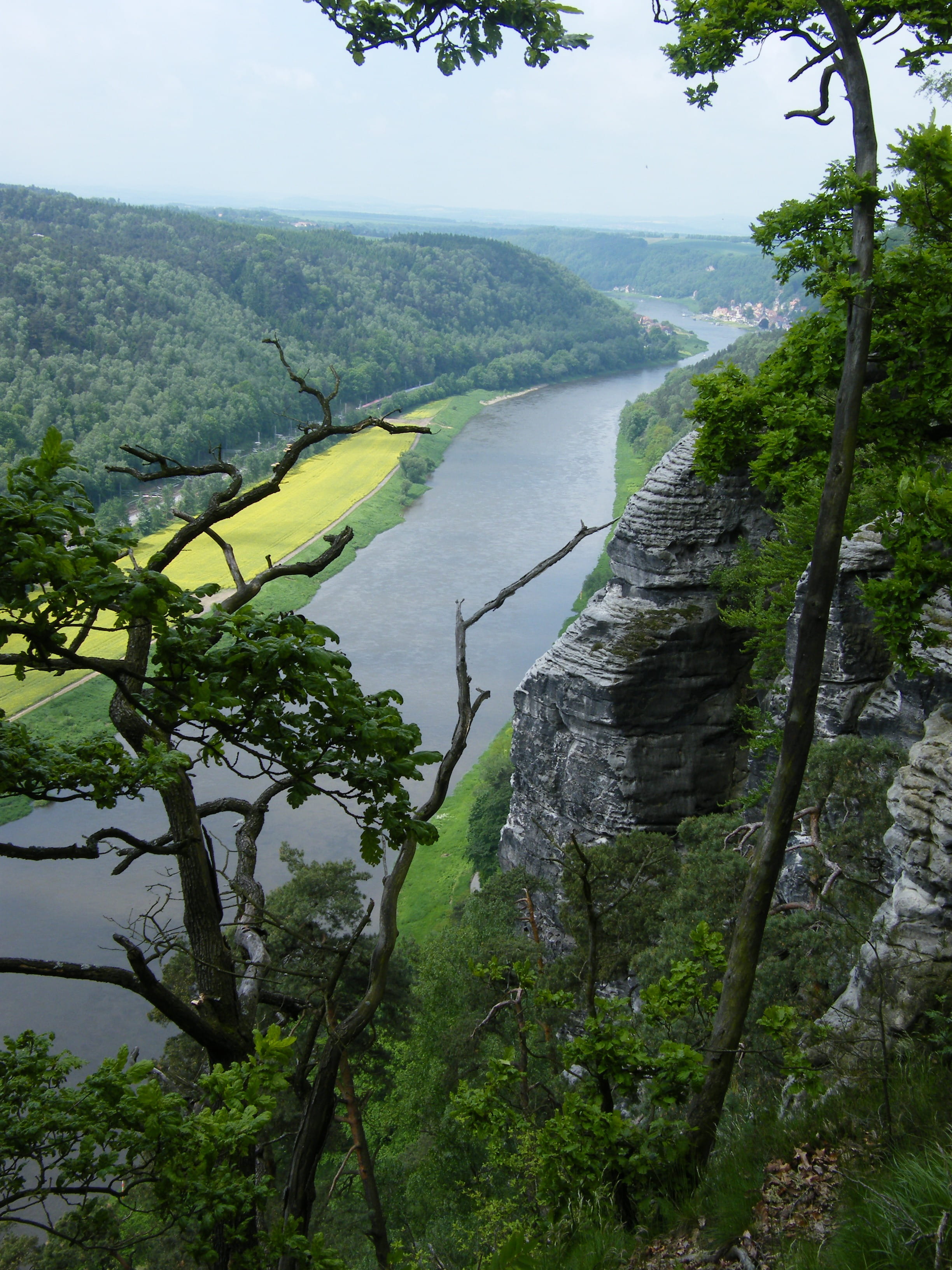 pirna, environment, germany, cross, tranquility, river, magdeburg, scenics - nature, outdoors, forest, 2K, Bastei, meissen, mountain, sky, riesa, Nature Conservation, Phone HD Wallpaper