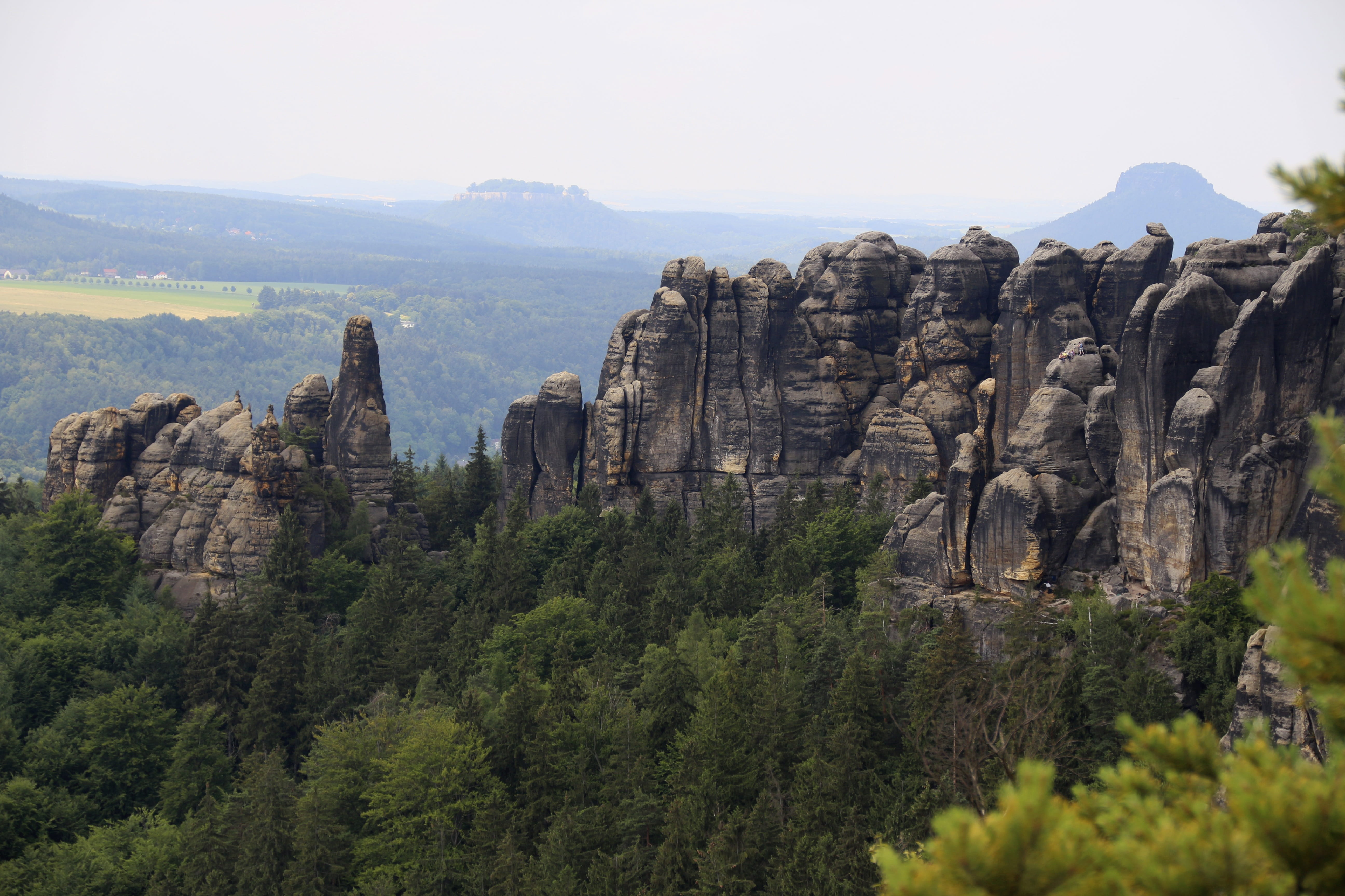 land, mountain, tranquility, scenics - nature, physical geography, rock climbing, Saxon Switzerland, eroded, nature, tree, tranquil scene, formation, growth, HD Wallpaper