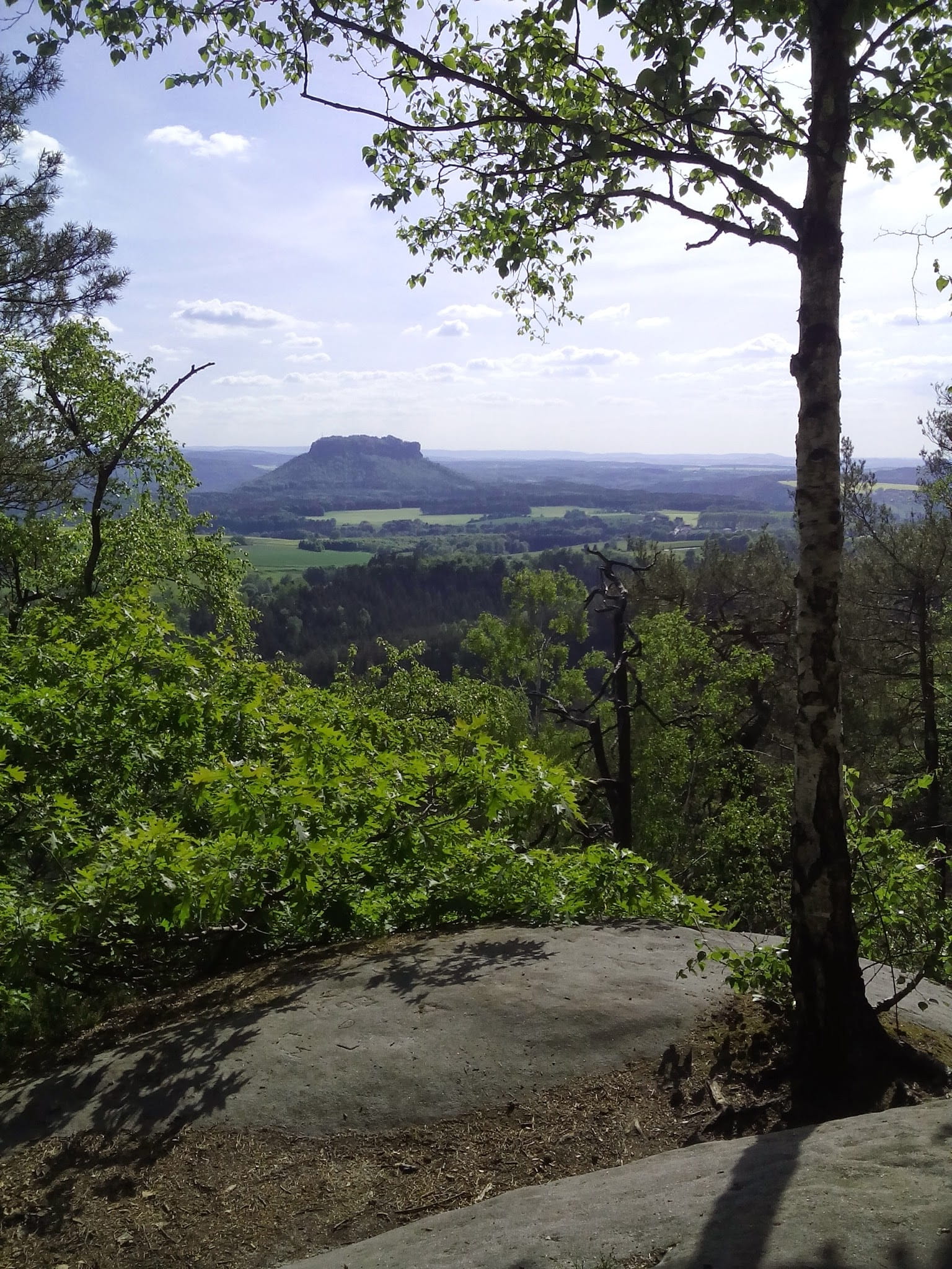1080P, rock, saxony, tree, day, landscape, tranquil scene, scenics, tranquility, sky, growth, saxon switzerland, mountain, scenics - nature, green color, Phone HD Wallpaper